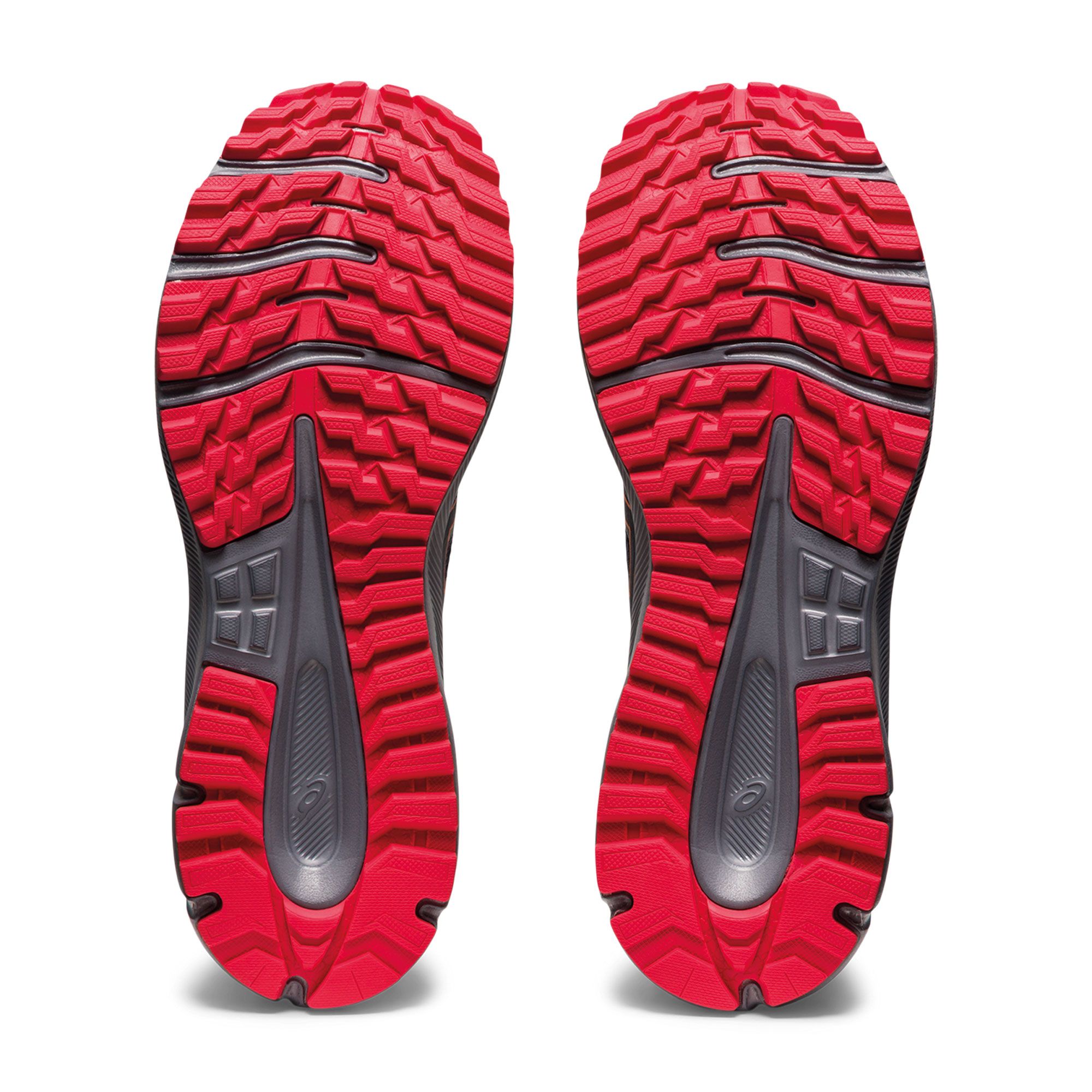 Asics Trail Scout 2 Trailrunningschoenen Heren