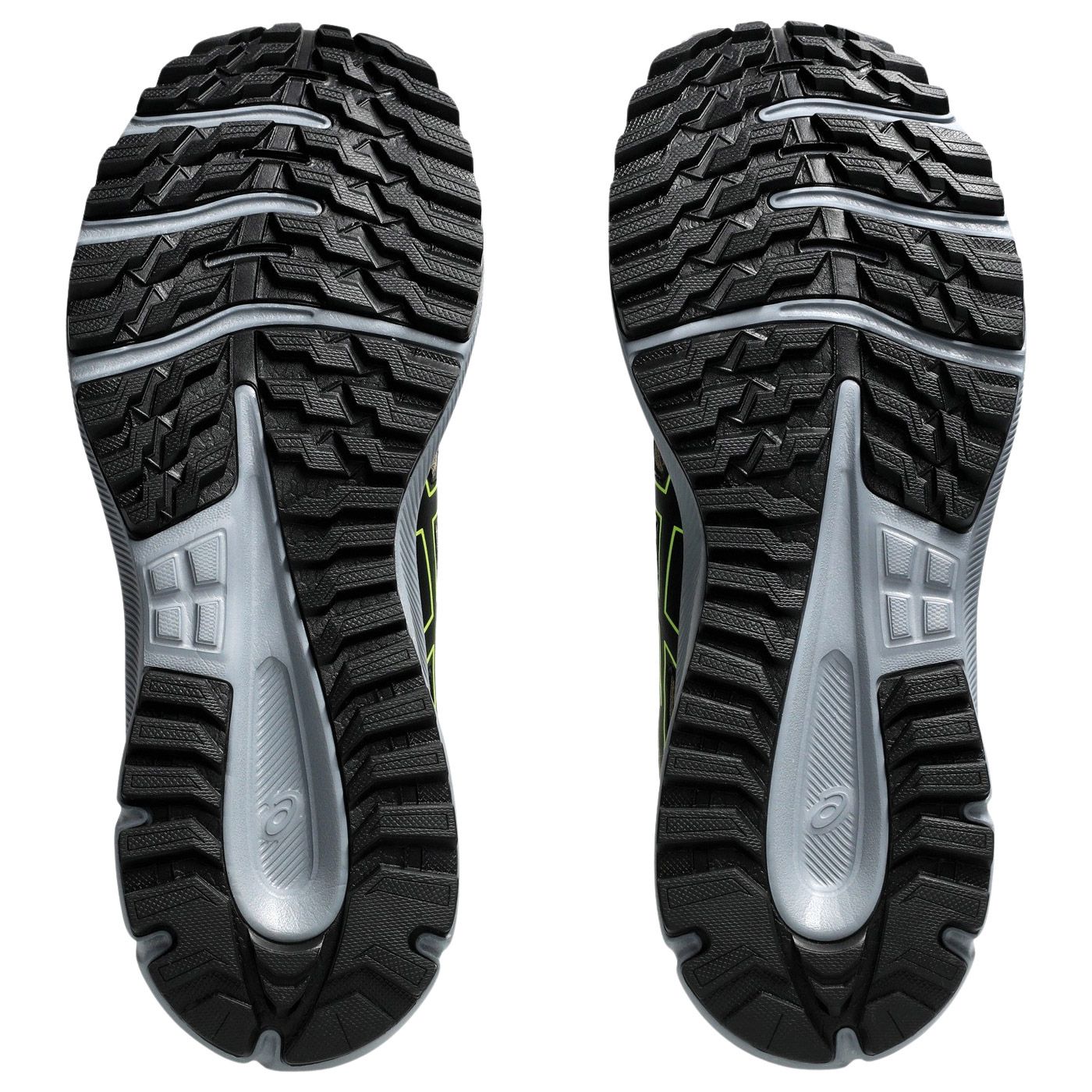 Chaussures de trail Asics Trail Scout 3
