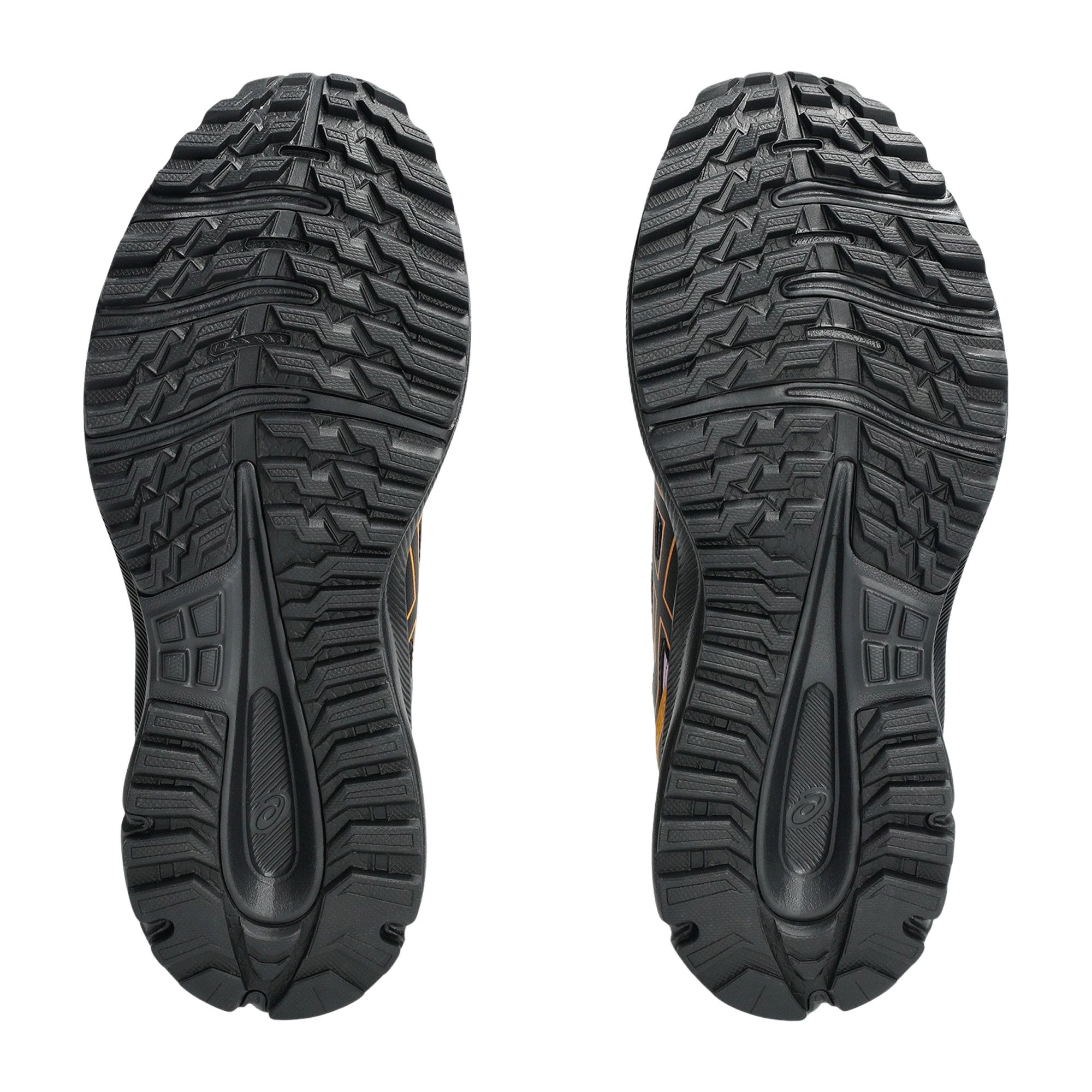 Asics Trail Scout 3 Trailrunningschoenen Dames