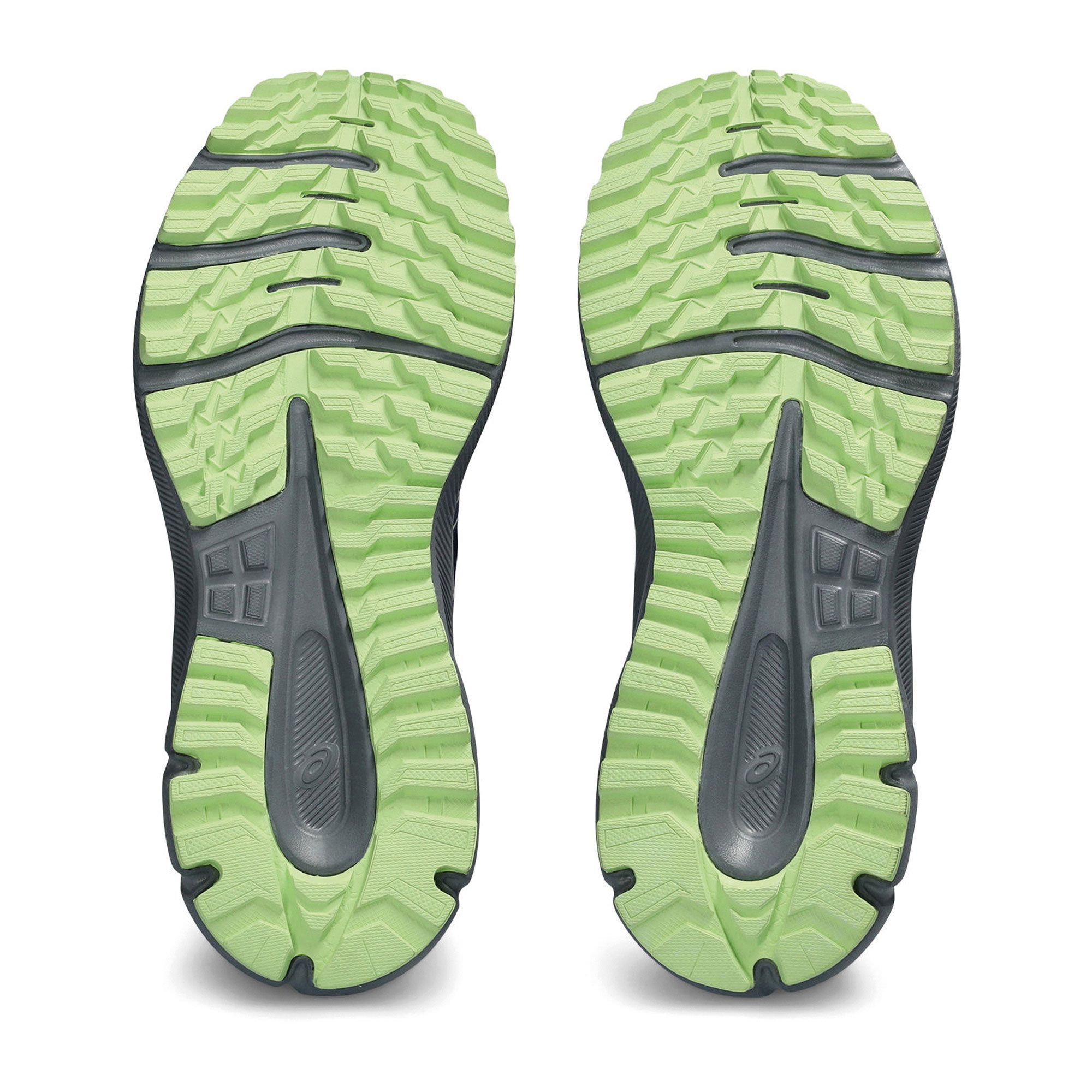 Asics Trail Scout 3 Trailrunningschoenen Dames