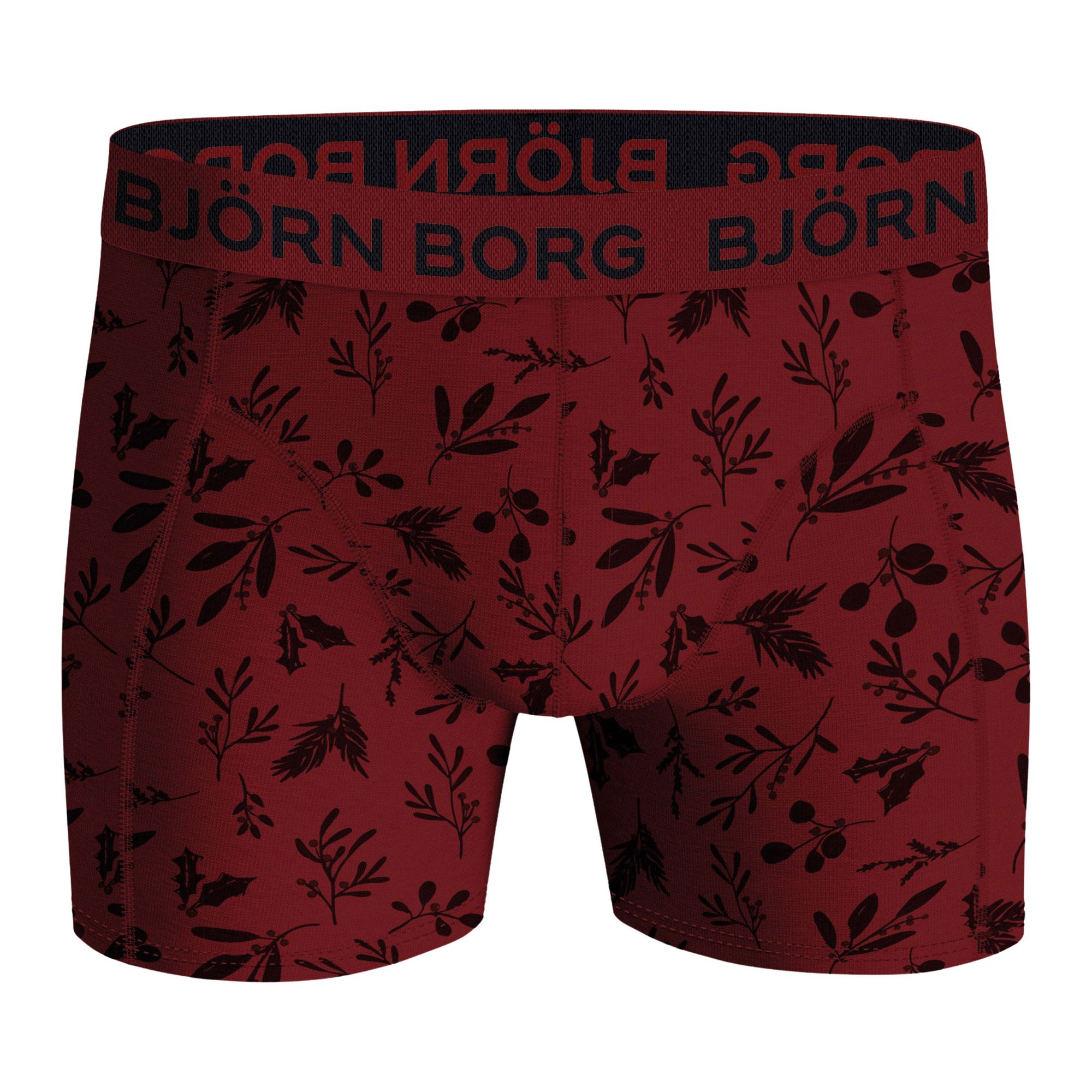 Björn Borg Cotton Stretch Brief Boxershorts Heren (9-pack)