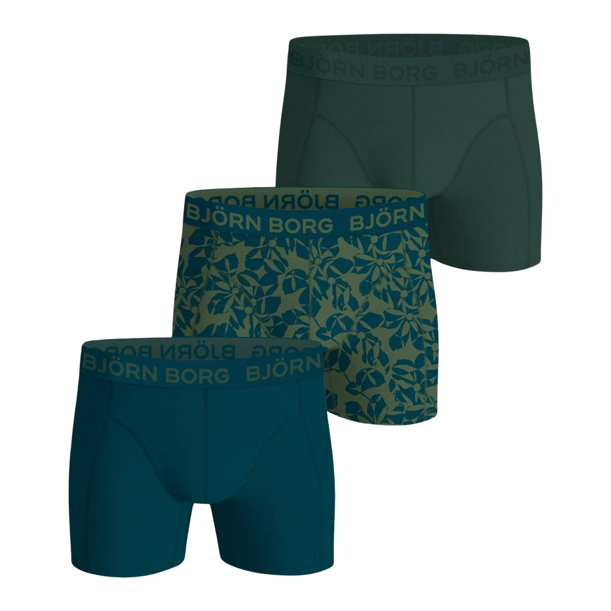 Björn