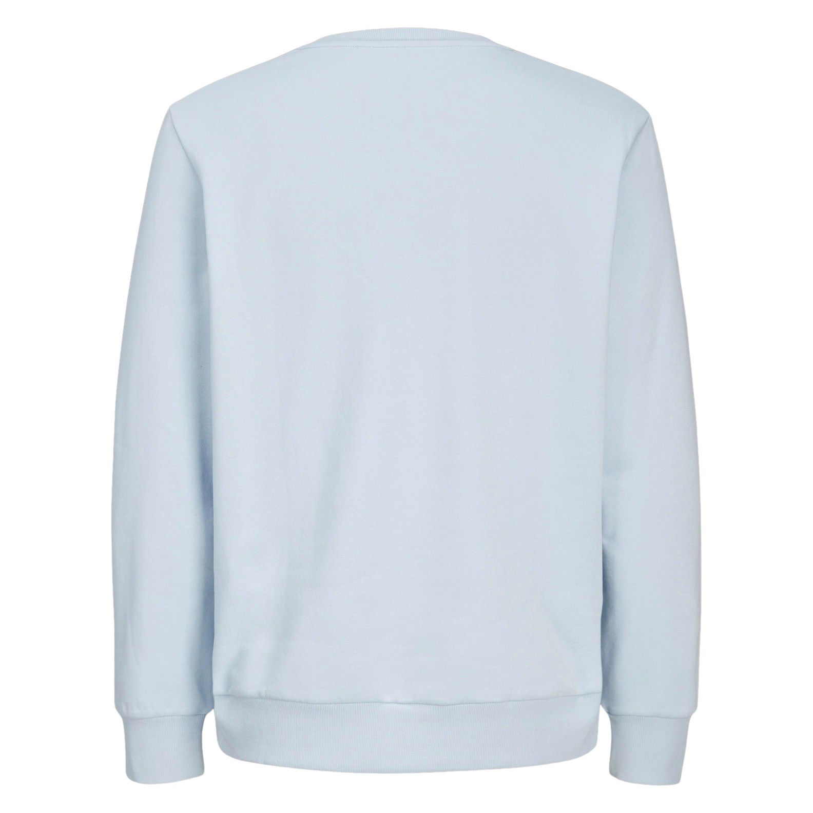 Blanks Tour Crew Sweater Senior