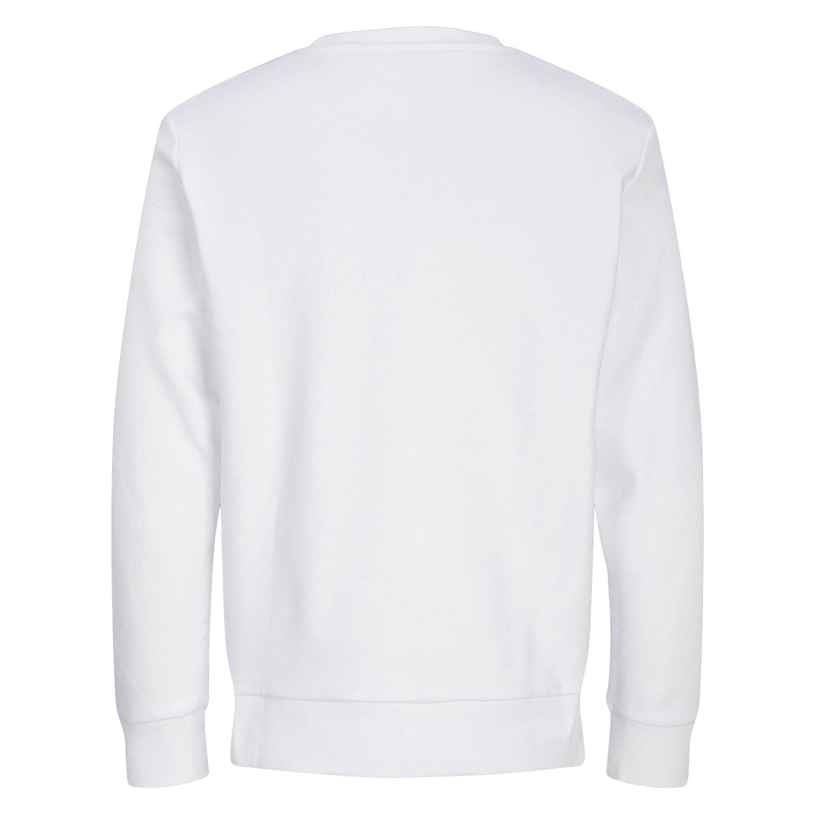 Blanks Tour Crew Sweater Senior