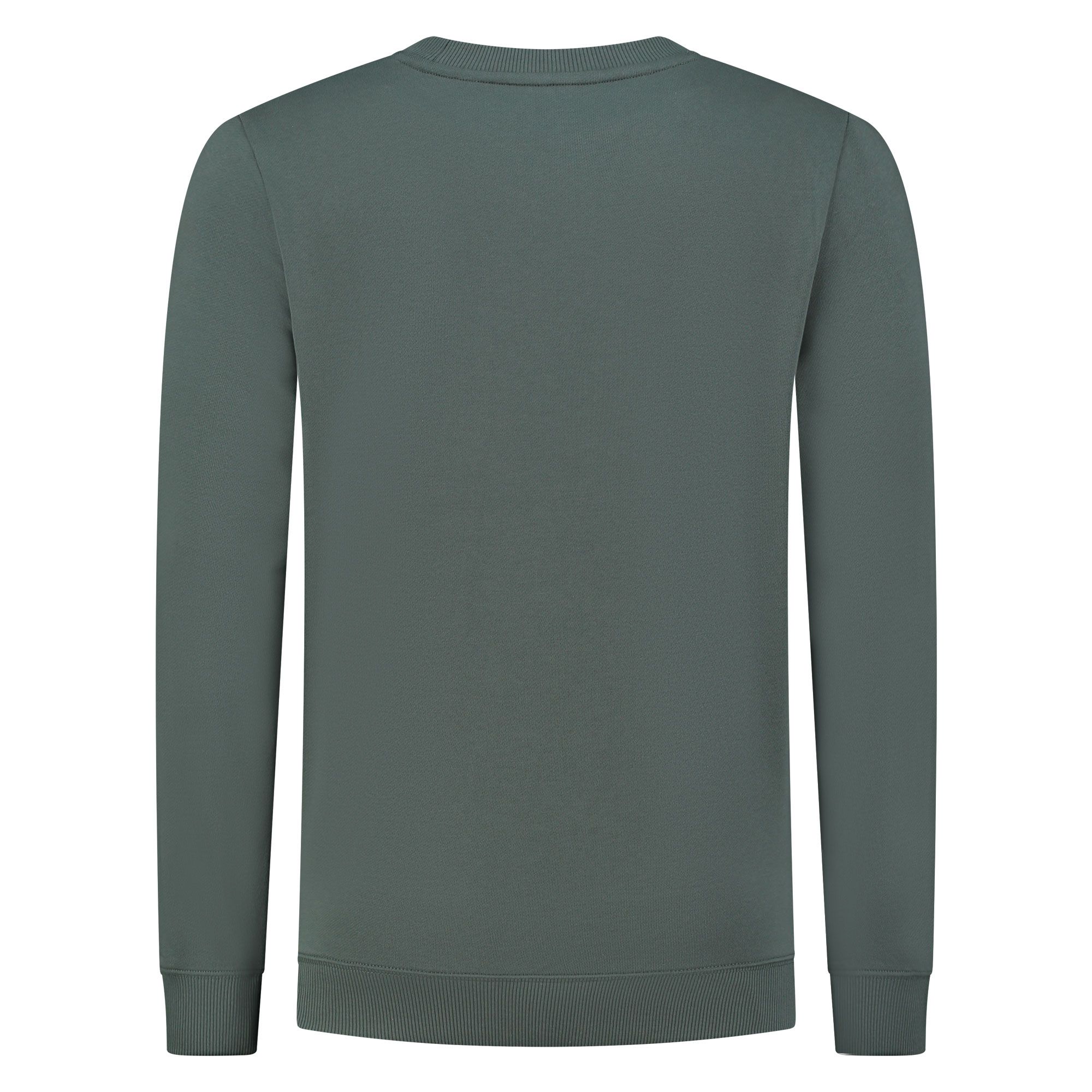 Pull Hugo Diragol Hommes