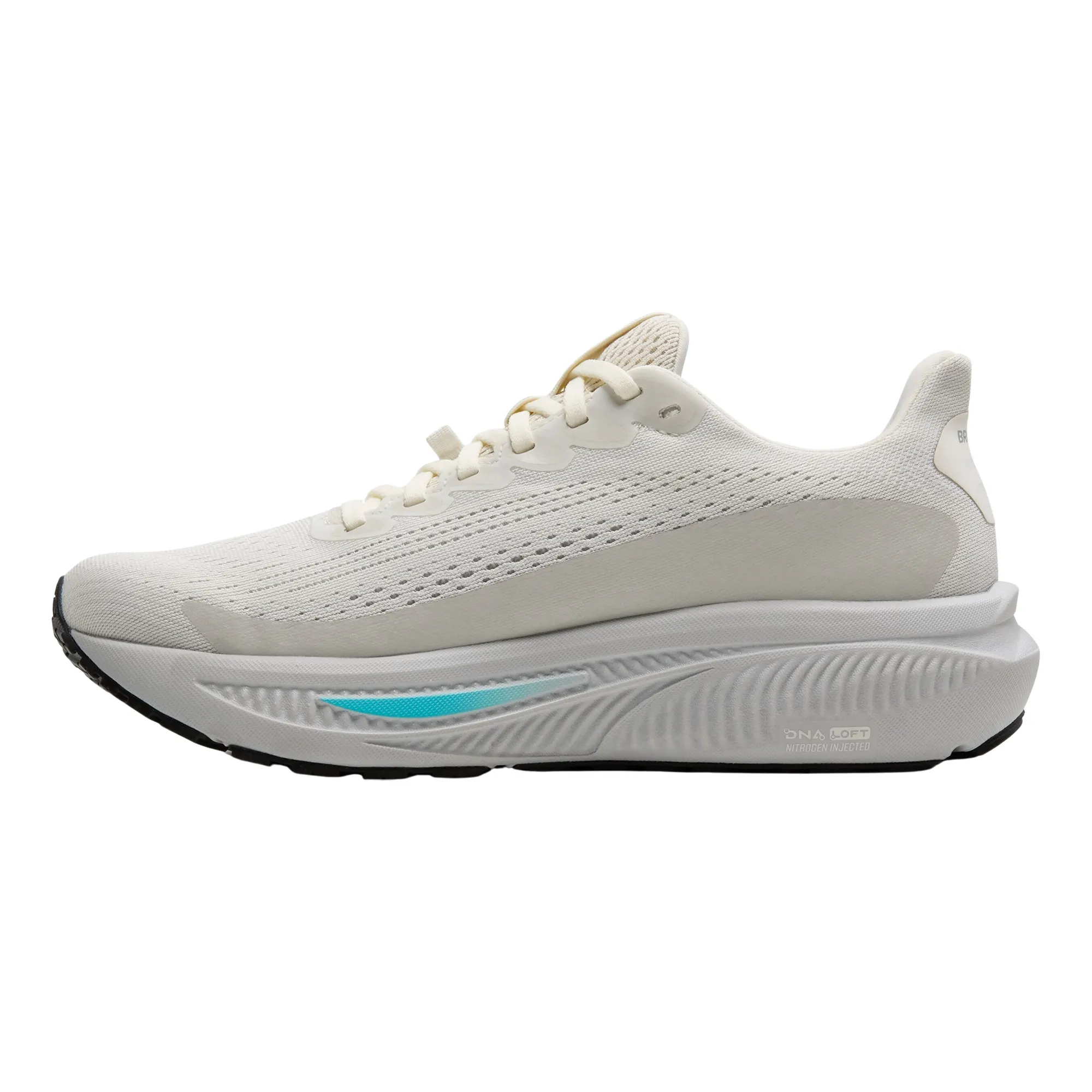 Brooks Ghost 17 GTX Hardloopschoenen Dames