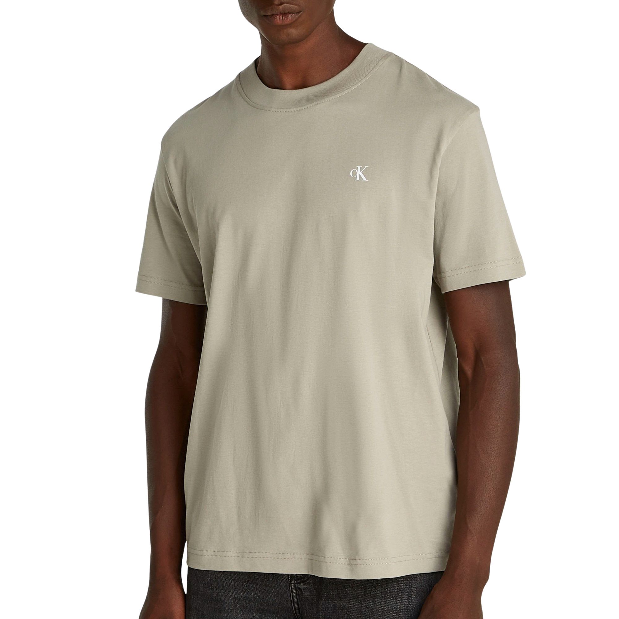 Calvin Klein Painted Backlogo Shirt Heren