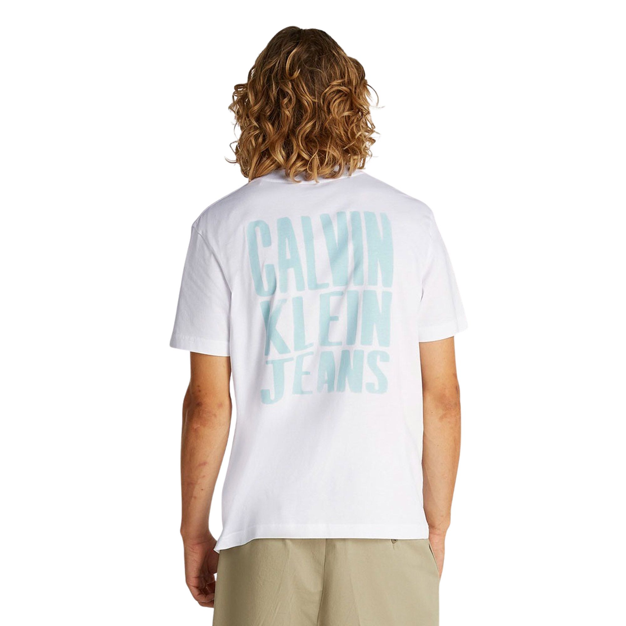 Calvin Klein Painted Backlogo Shirt Heren