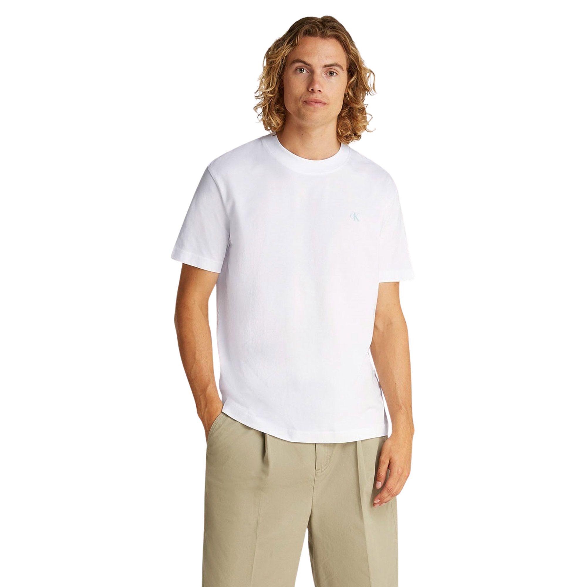 Calvin Klein Painted Backlogo Shirt Heren