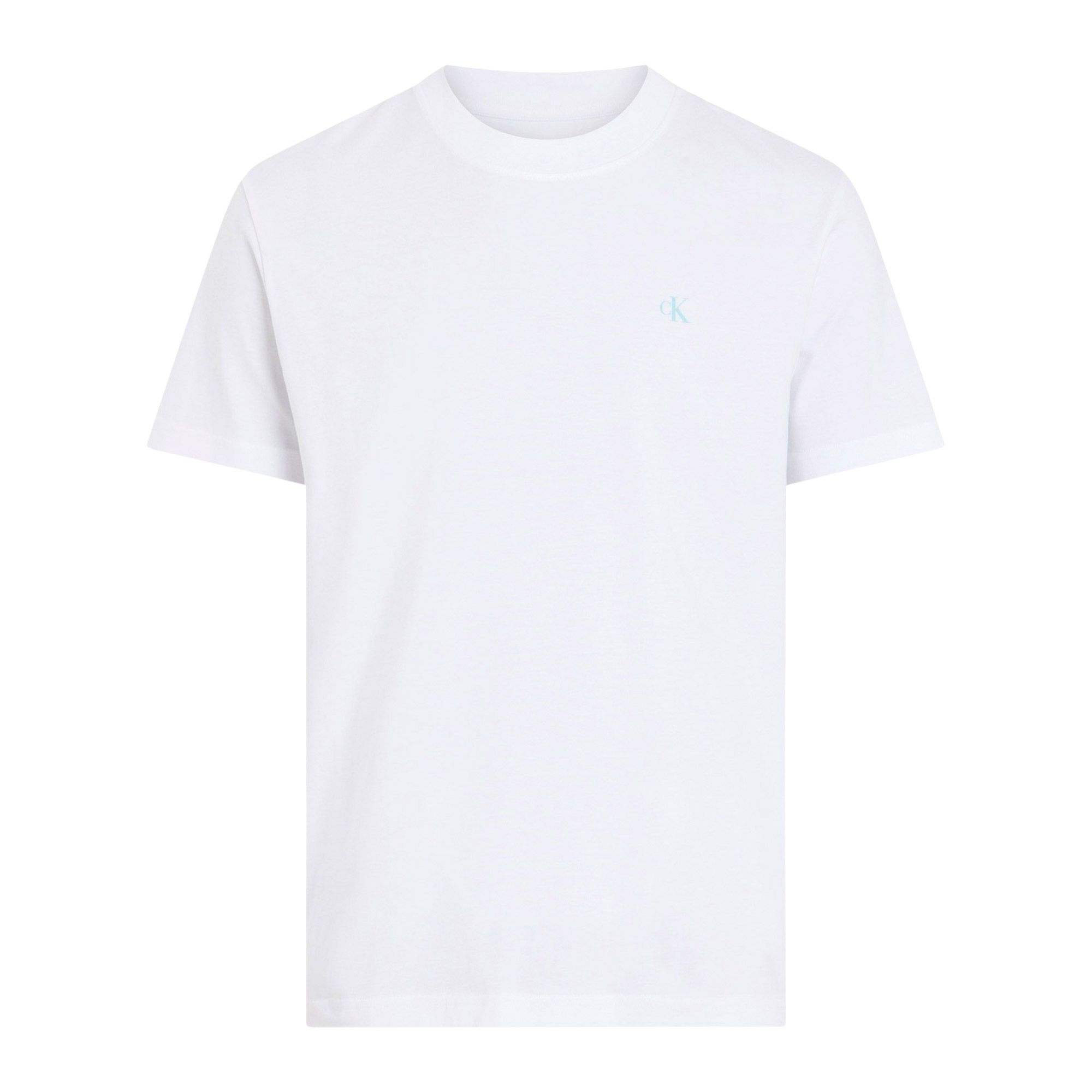 Calvin Klein Painted Backlogo Shirt Heren