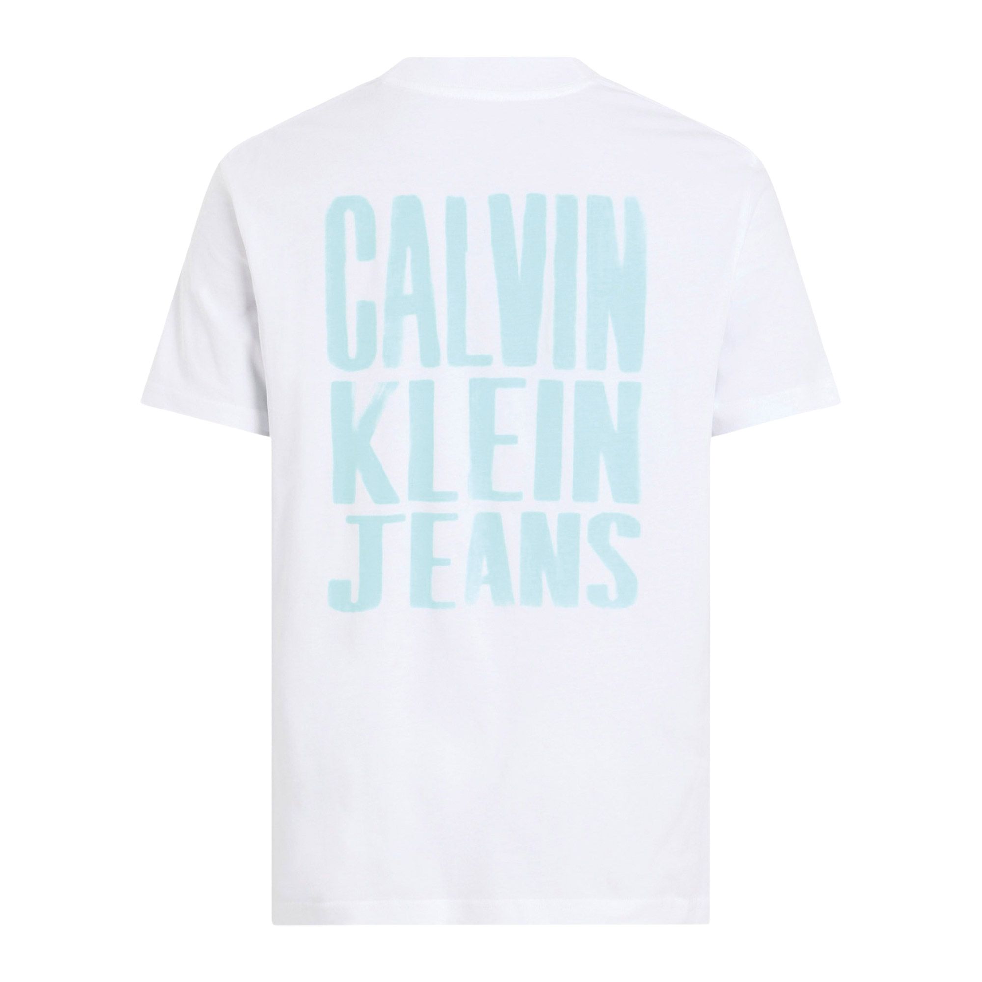 Calvin Klein Painted Backlogo Shirt Heren