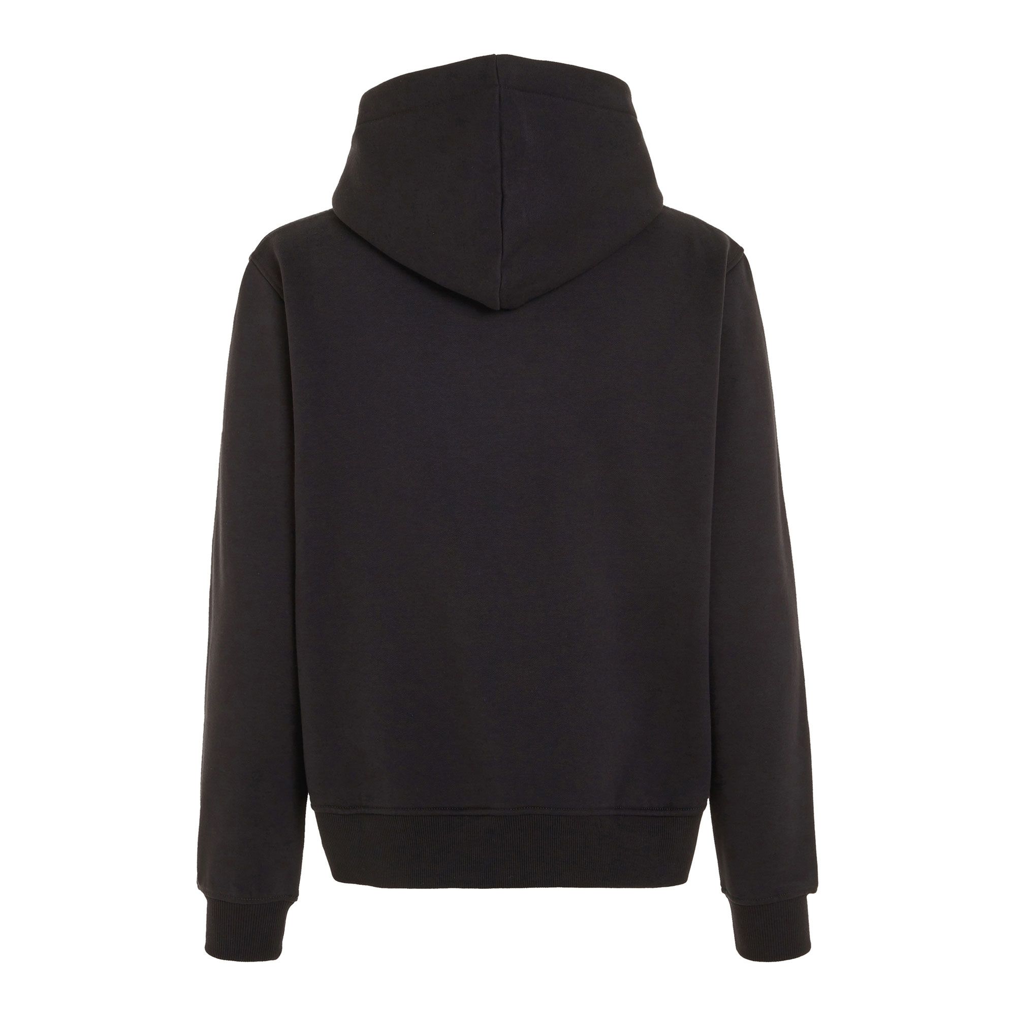 Calvin Klein Institutional Regular Hoodie Dames