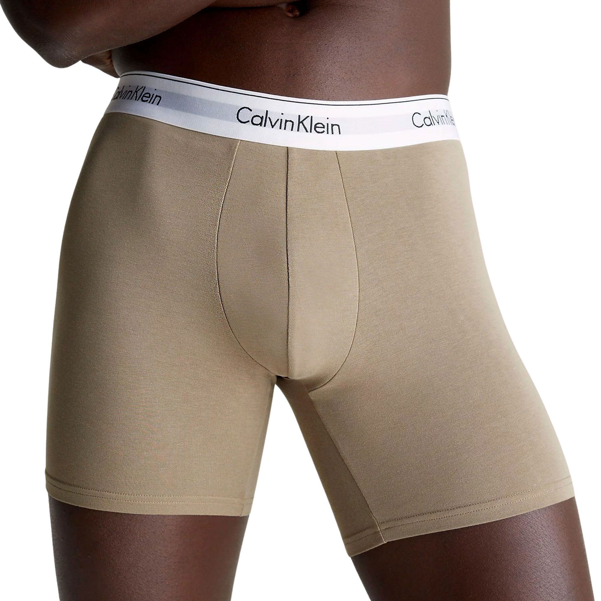 Caleçon Calvin Klein Brief Hommes (lot de 5)