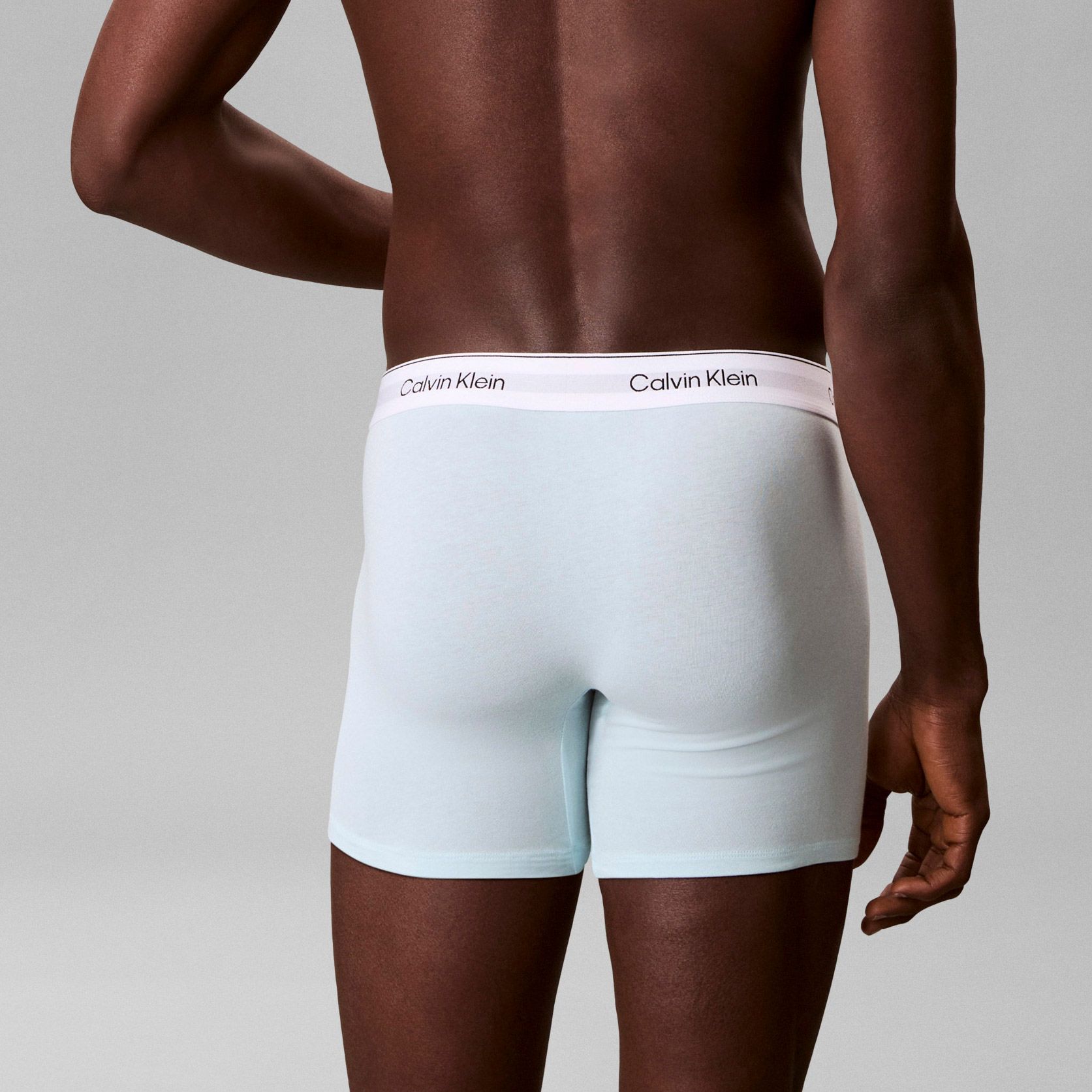 Calvin Klein Icon Cotton Stretch Brief Boxershorts Heren (5-pack)