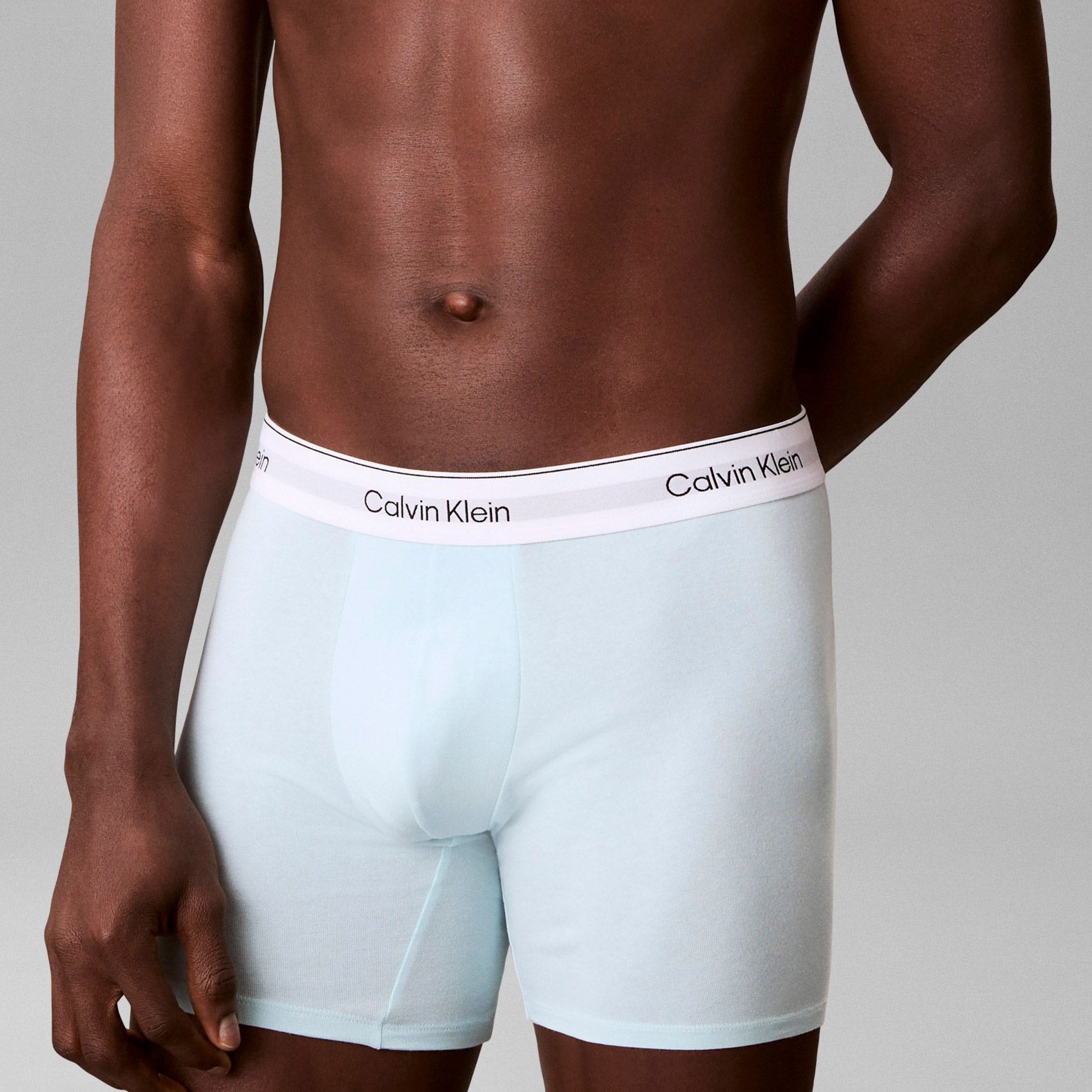 Calvin Klein Icon Cotton Stretch Brief Boxershorts Heren (5-pack)