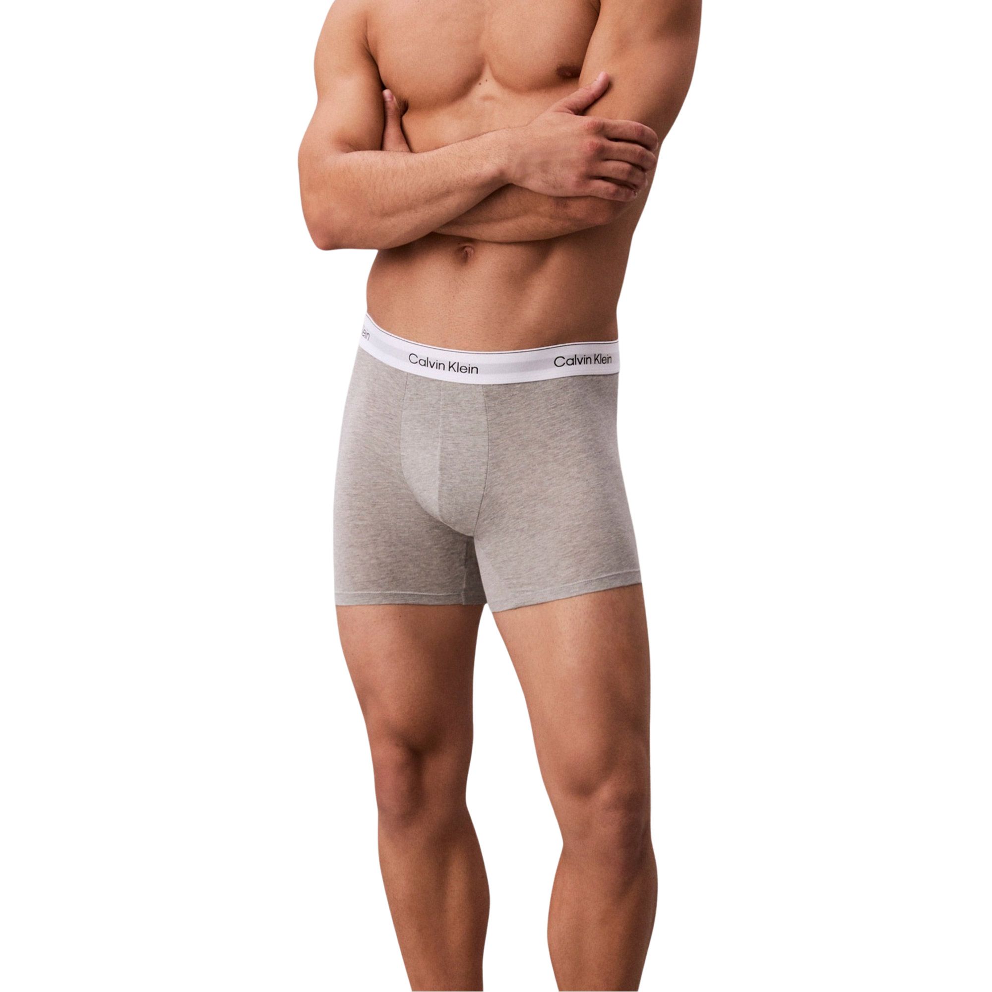Caleçon Calvin Klein Icon Cotton Stretch Brief Hommes (lot de 3)
