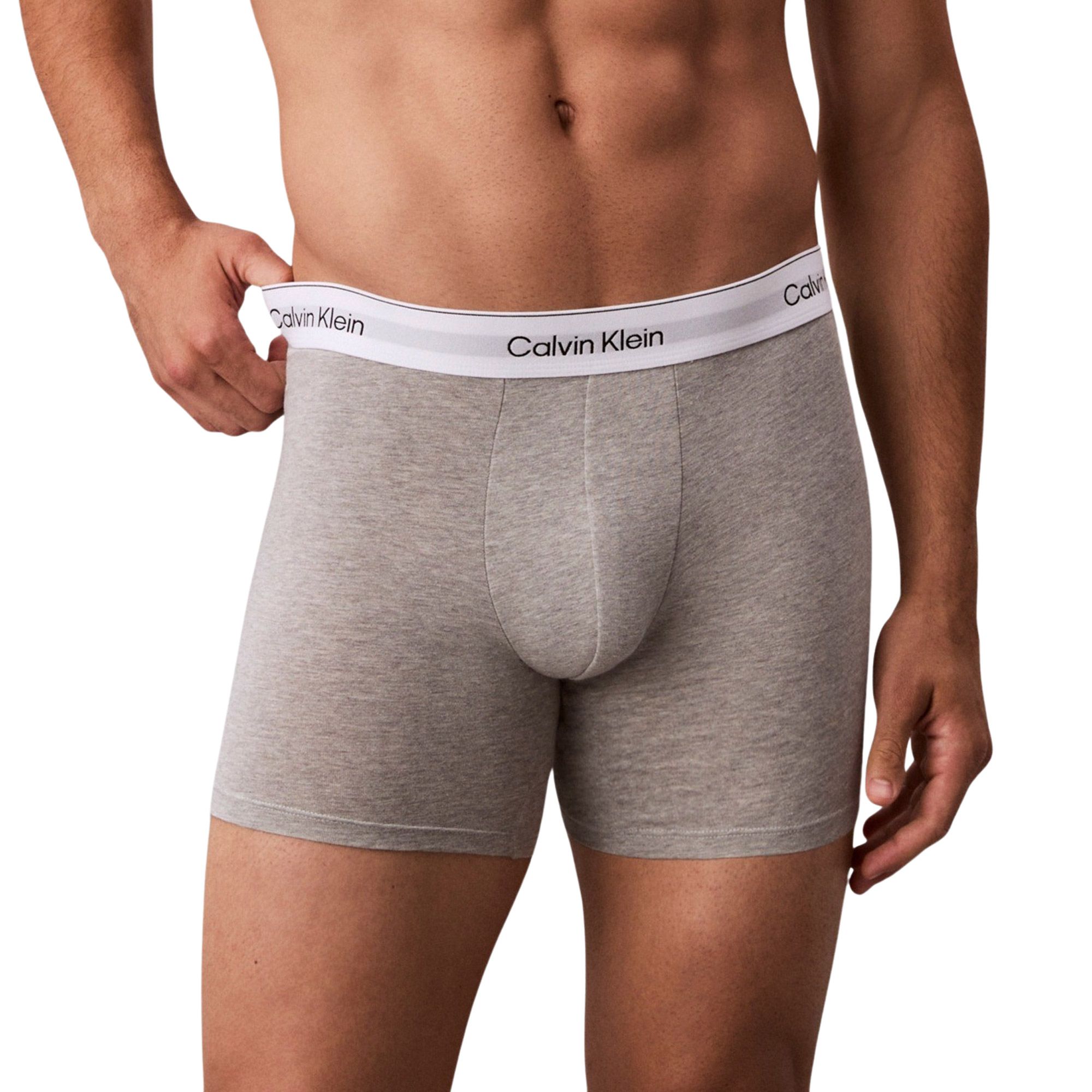 Caleçon Calvin Klein Icon Cotton Stretch Brief Hommes (lot de 3)