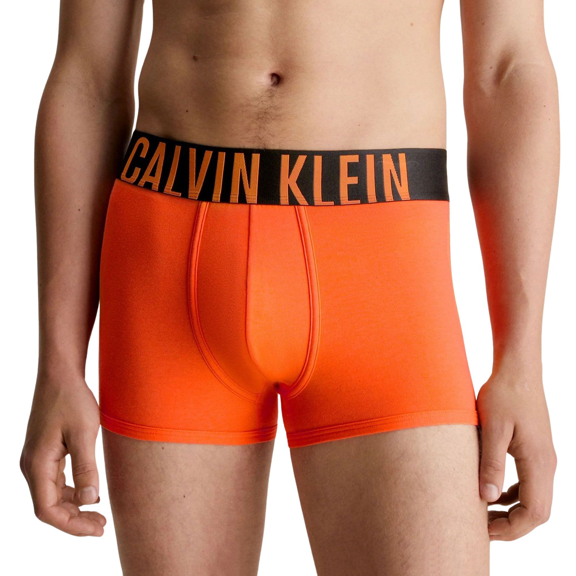 Calvin Klein Trunk Boxershorts Heren (2-pack)
