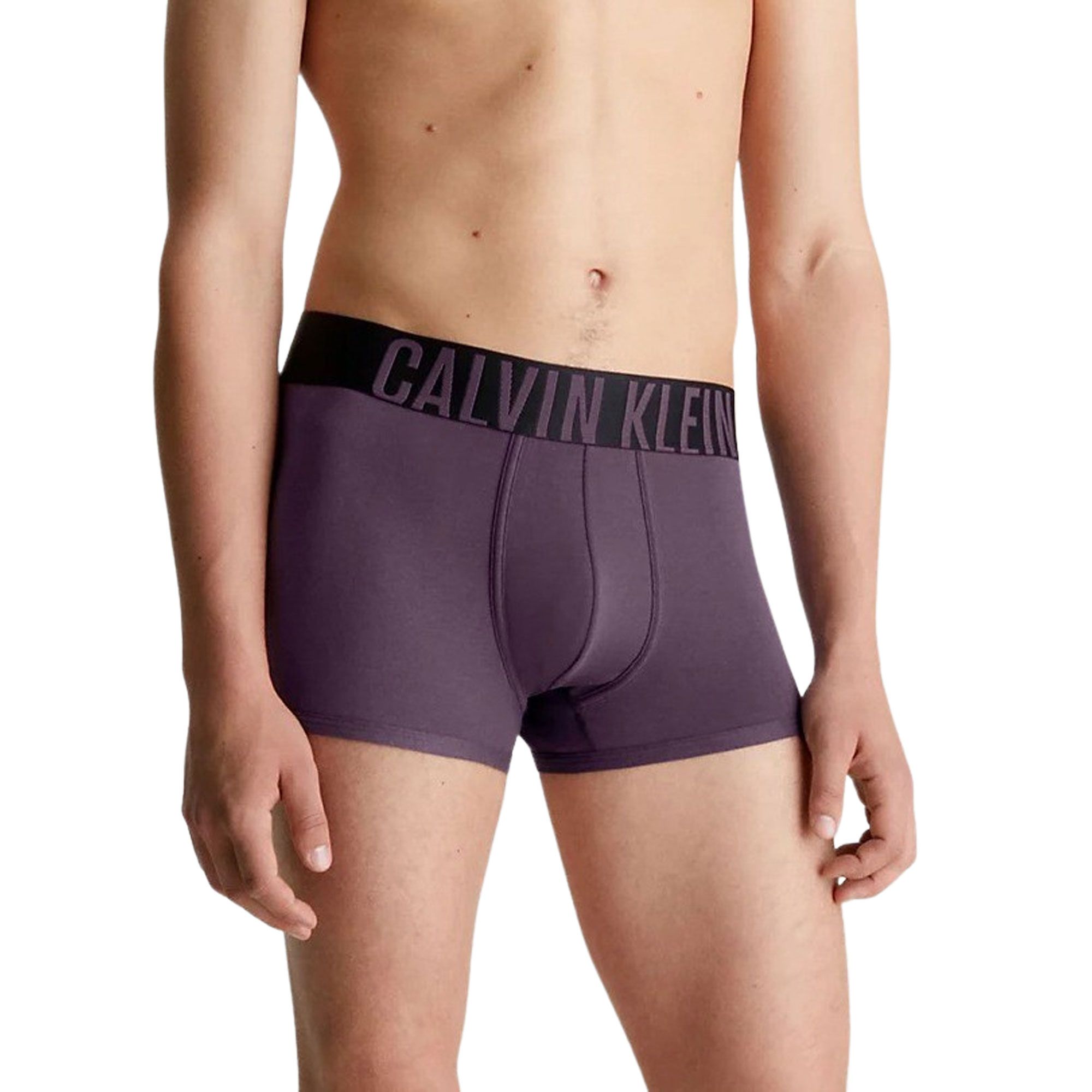 Calvin Klein Trunk Boxershorts Heren (2-pack)