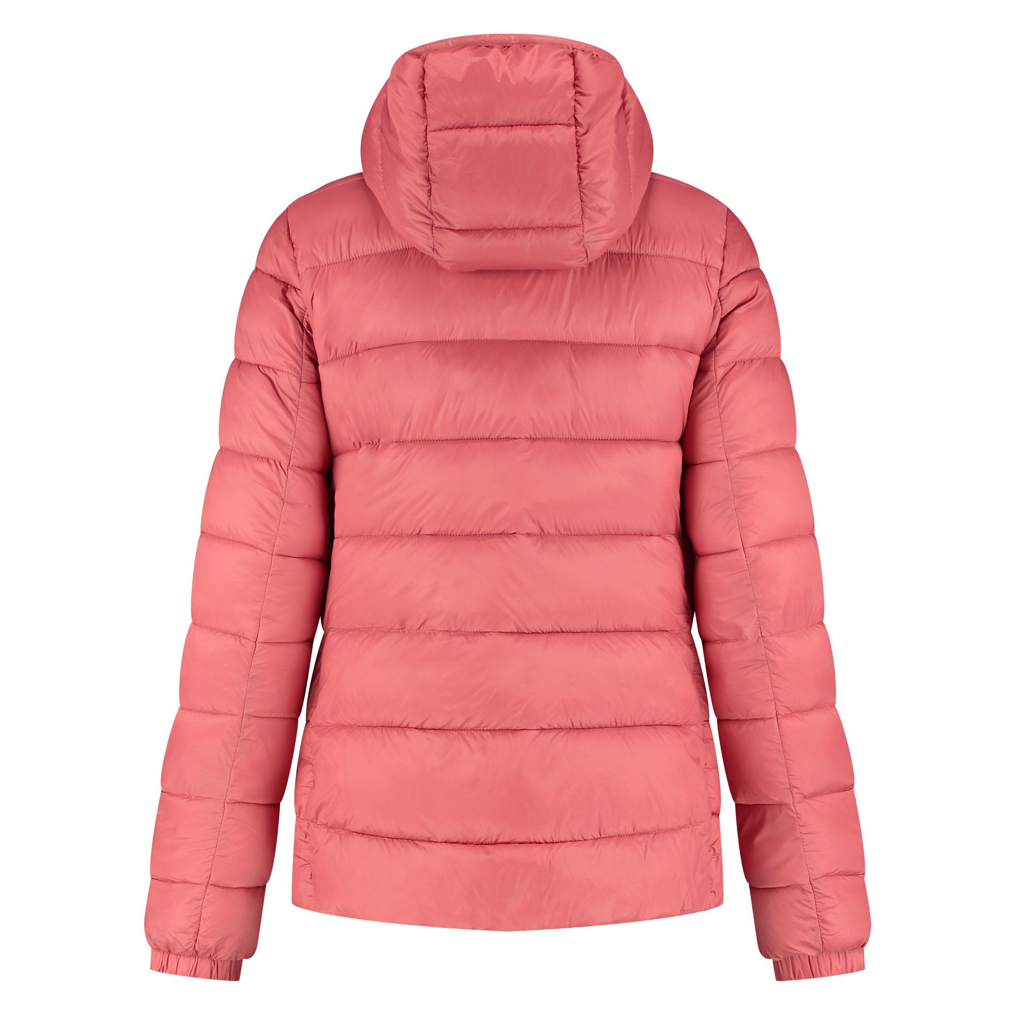 Champion Hooded Lightweight Polyfilled Jas Dames