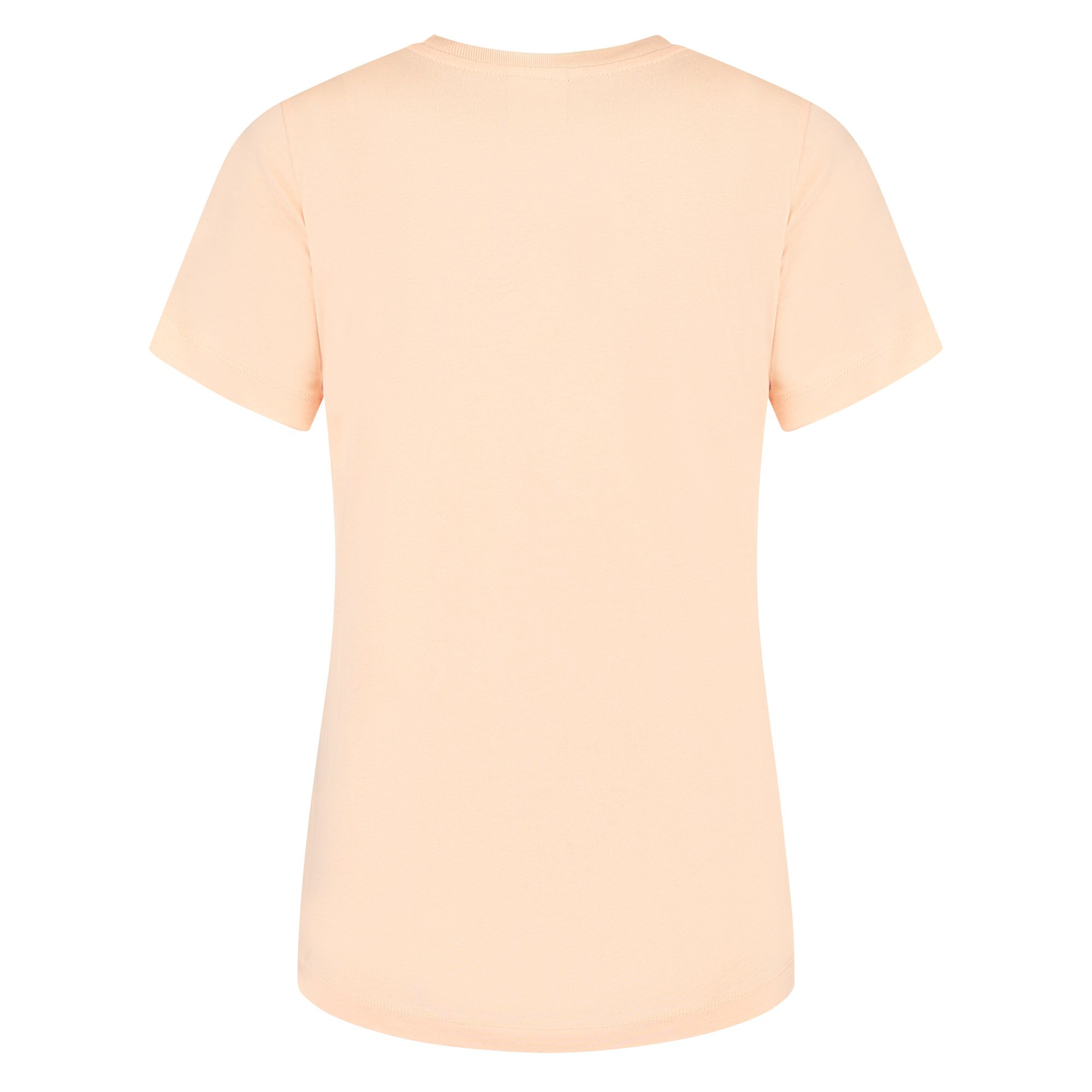 Champion Big Script Logo Crewneck Shirt Dames
