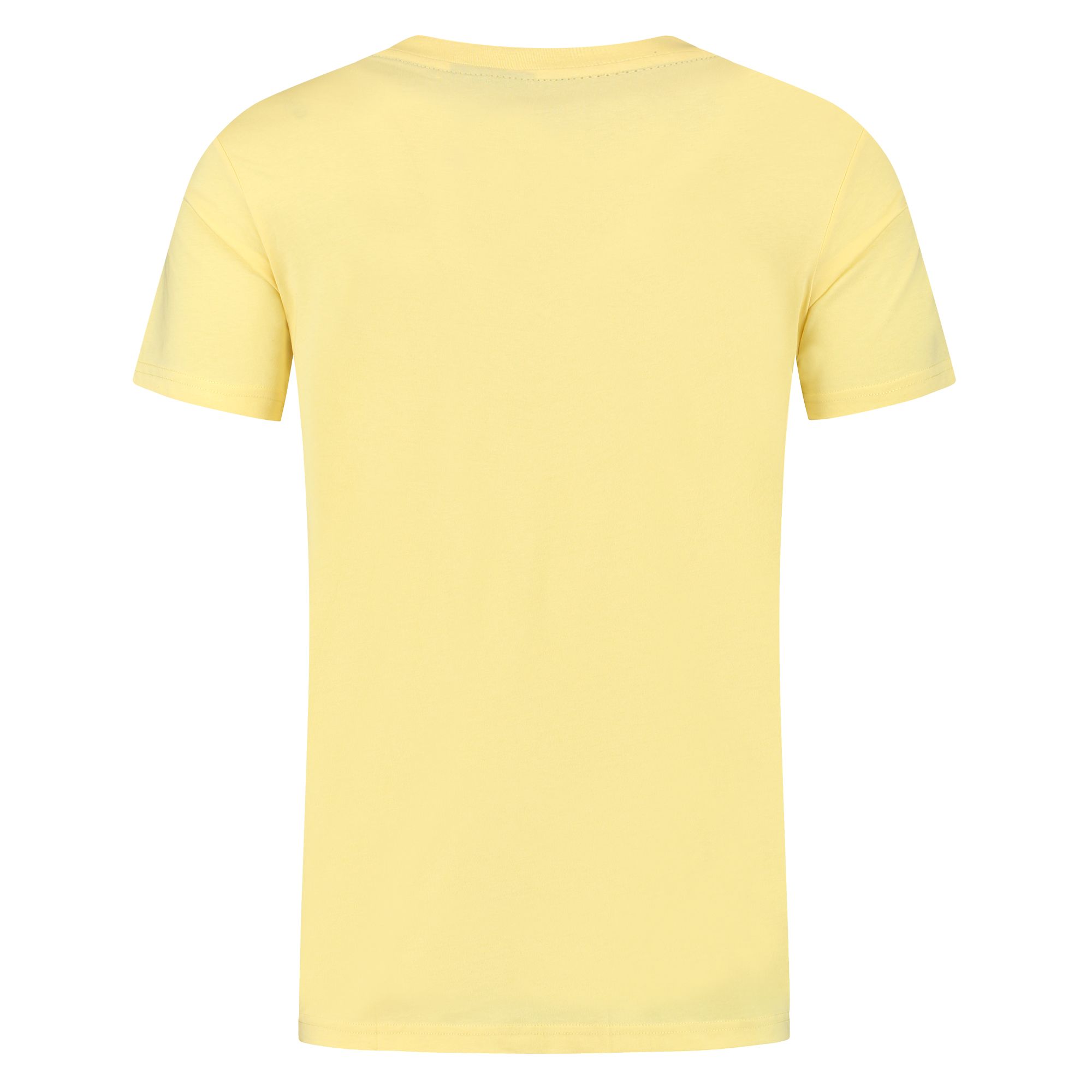 Champion Shirt Heren