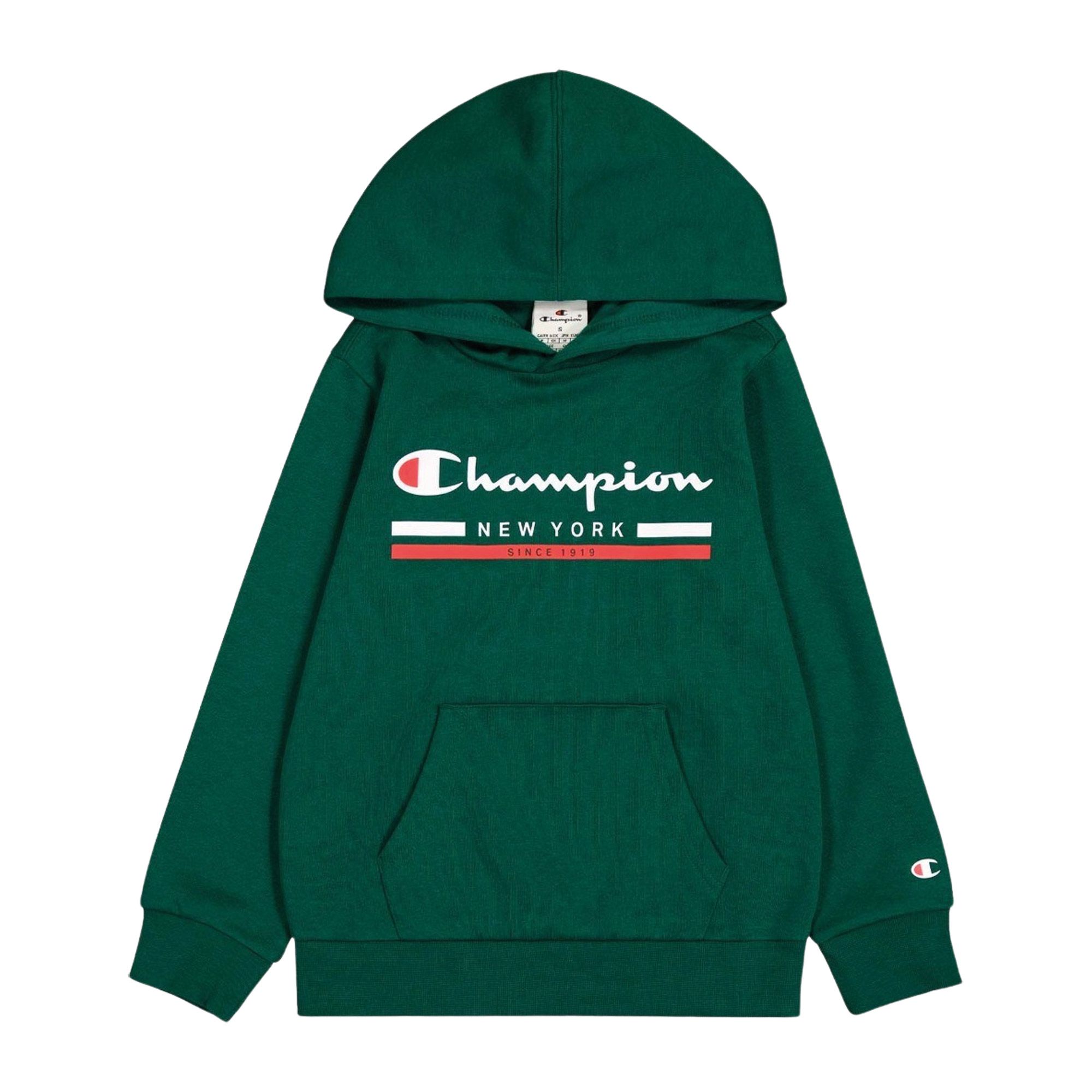 Champion Graphic Logo Fleece Hoodie Junior