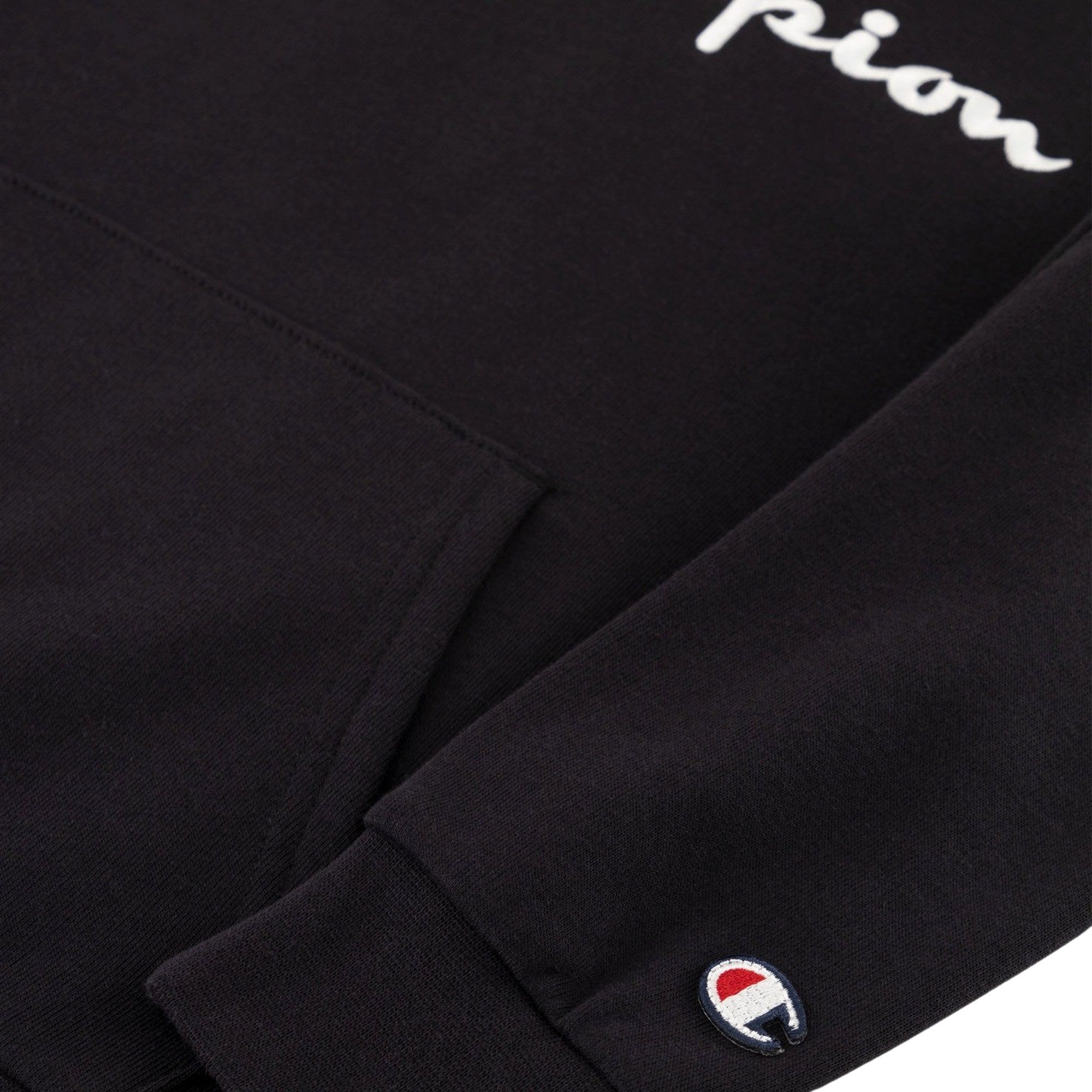 Champion Big Script Logo Hoodie Junior