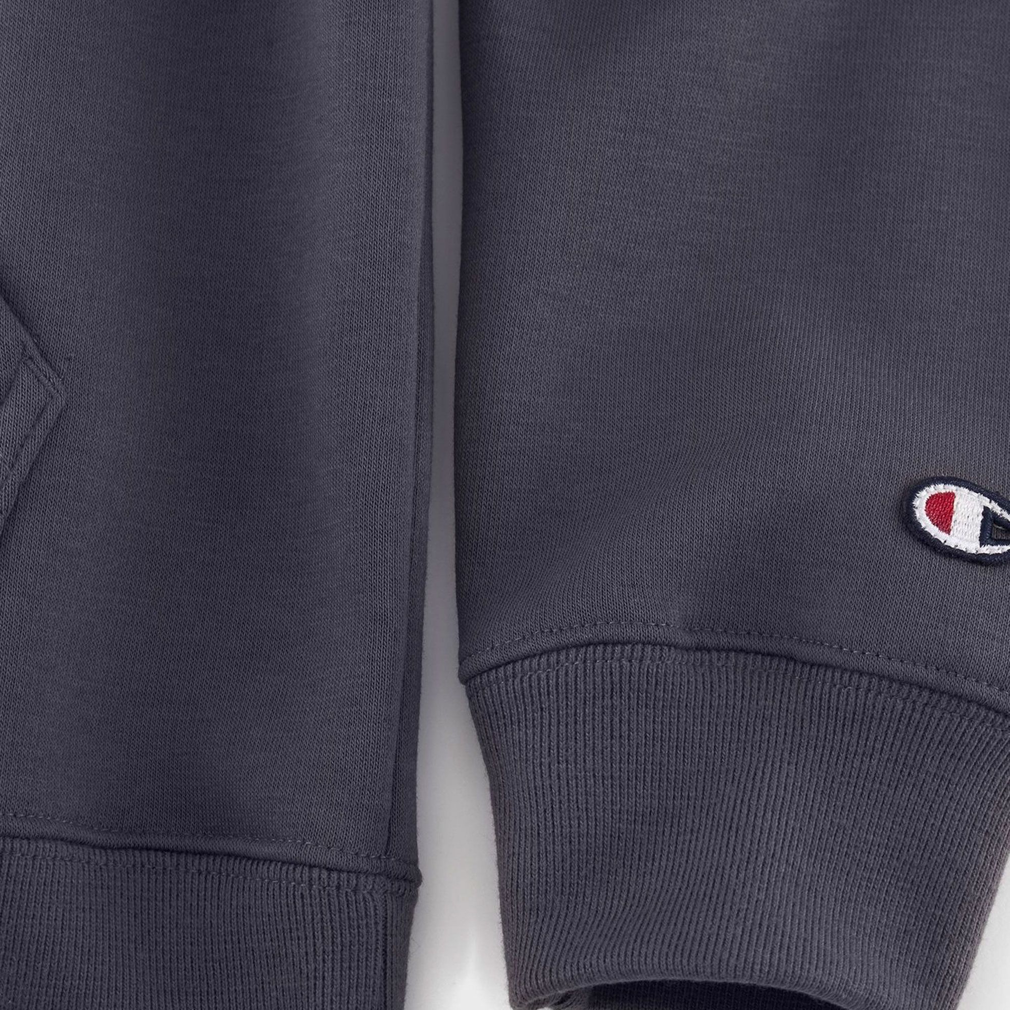 Champion Embroidered Script Logo Fleece Hoodie Heren