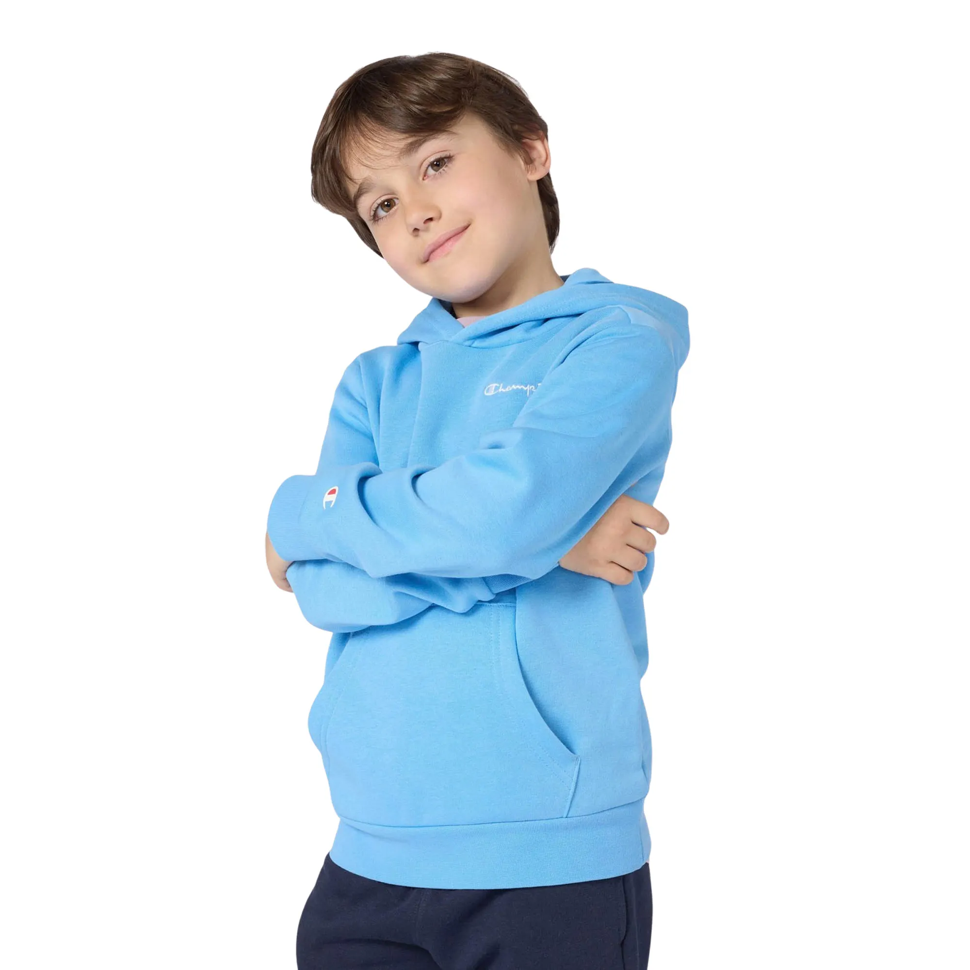 Champion Icons Small Logo Hoodie Junior