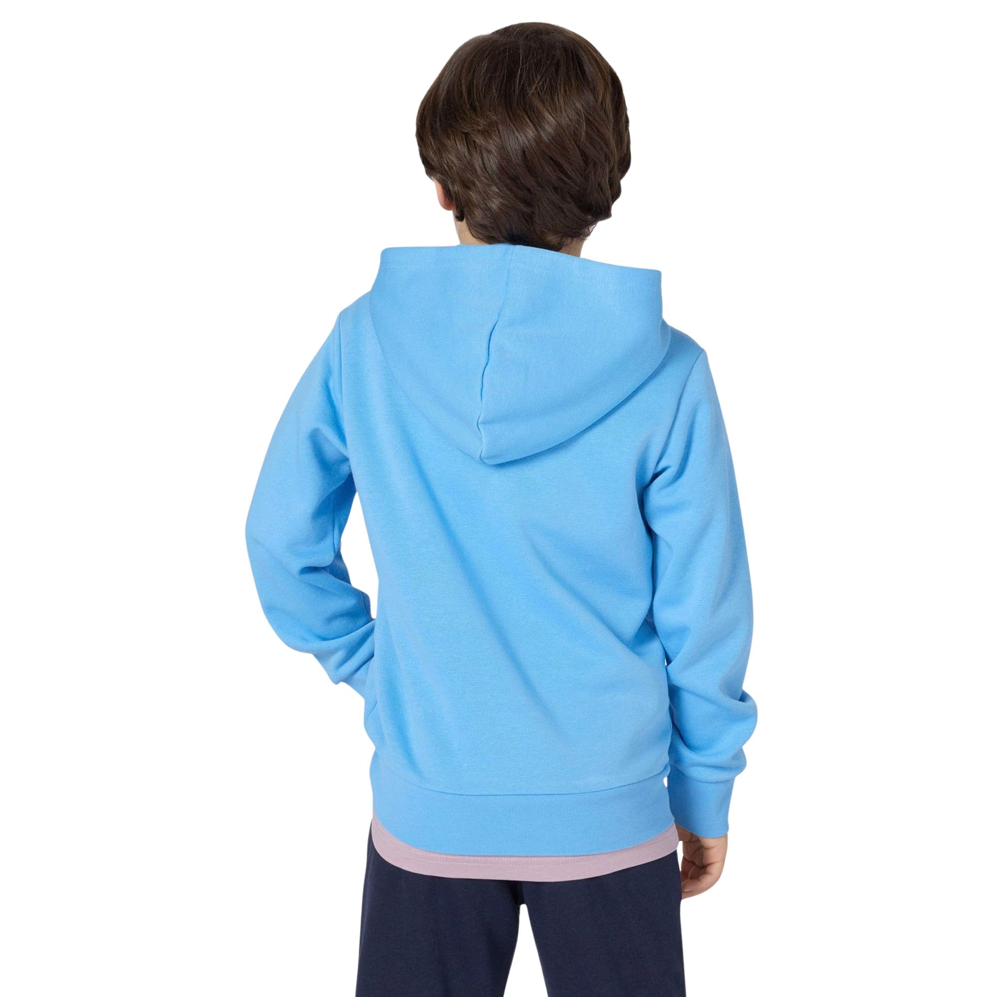 Champion Icons Small Logo Hoodie Junior