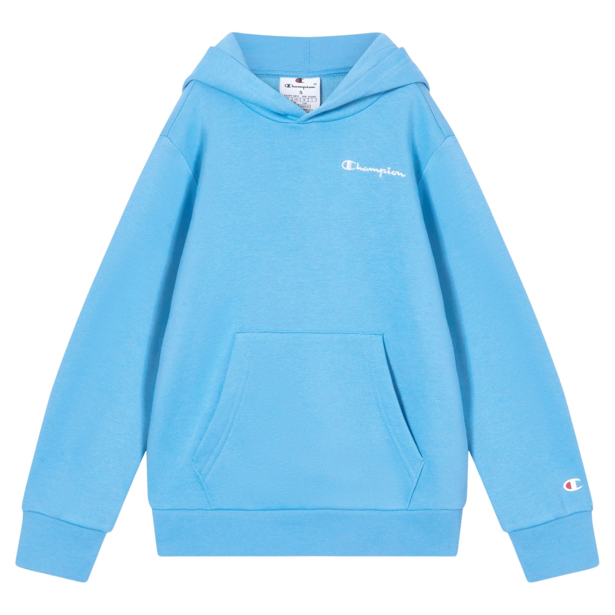 Champion Icons Small Logo Hoodie Junior