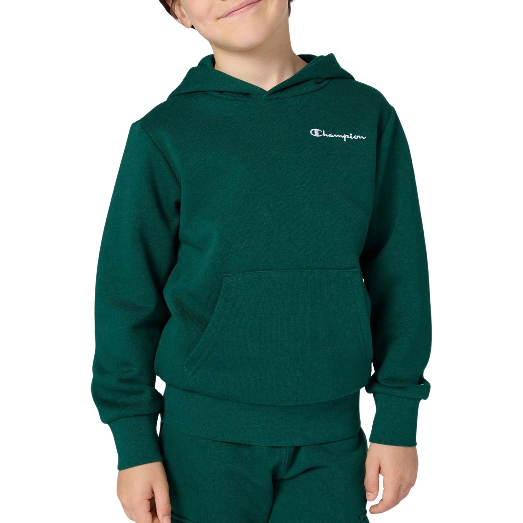 Champion Icons Small Logo Hoodie Junior