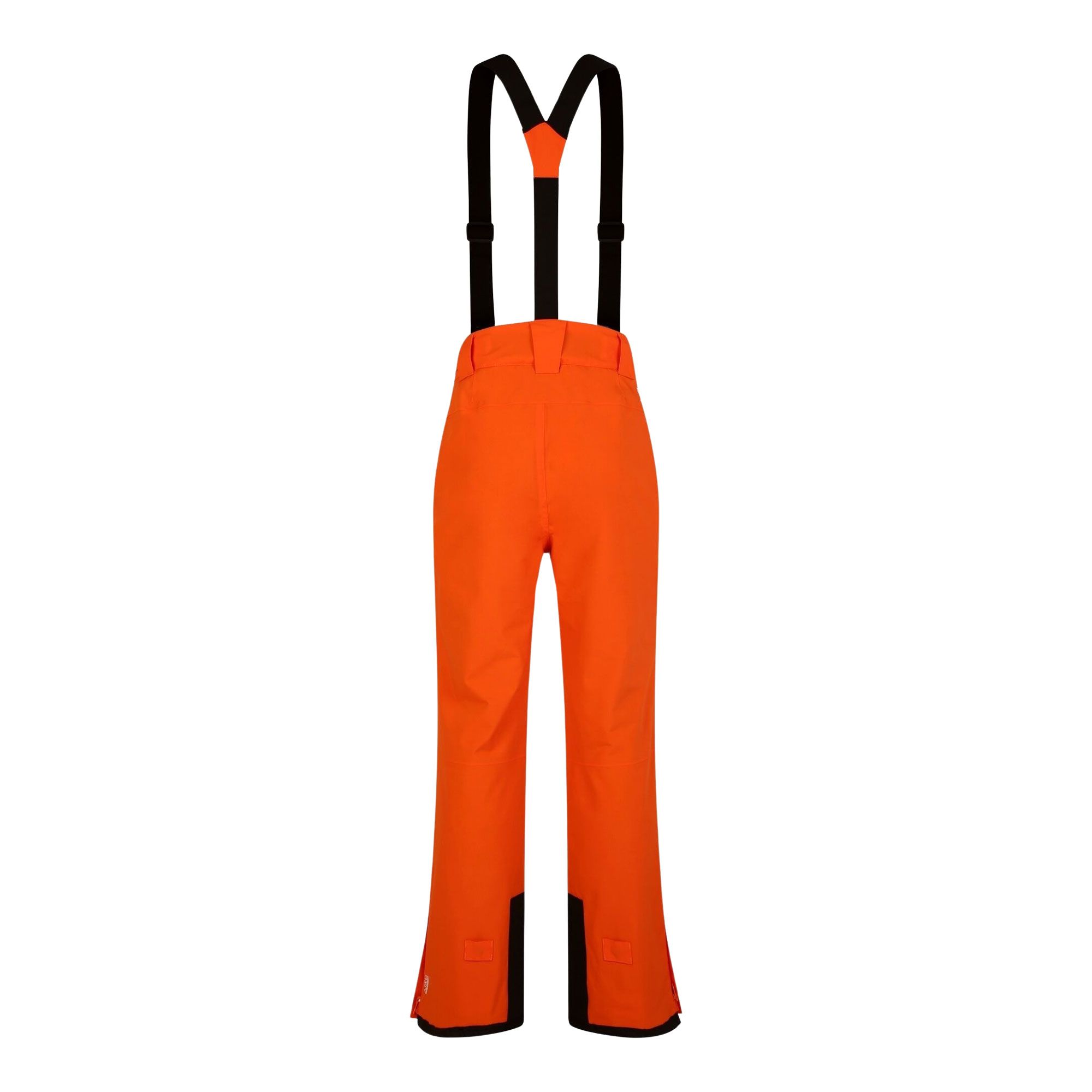 Pantalon de ski Dare 2b Achieve II Homme