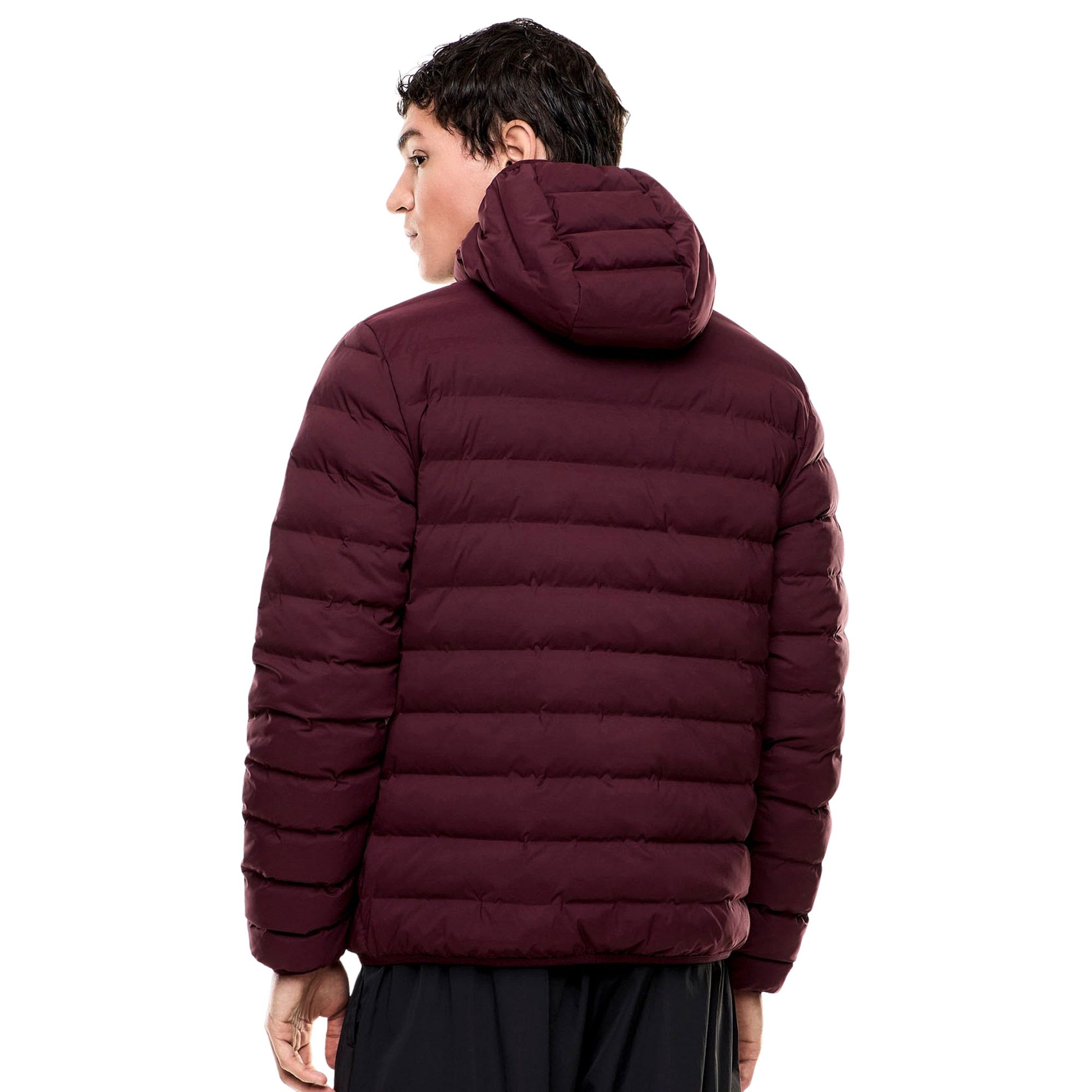 EA7 Padded Hooded Bomberjas Heren
