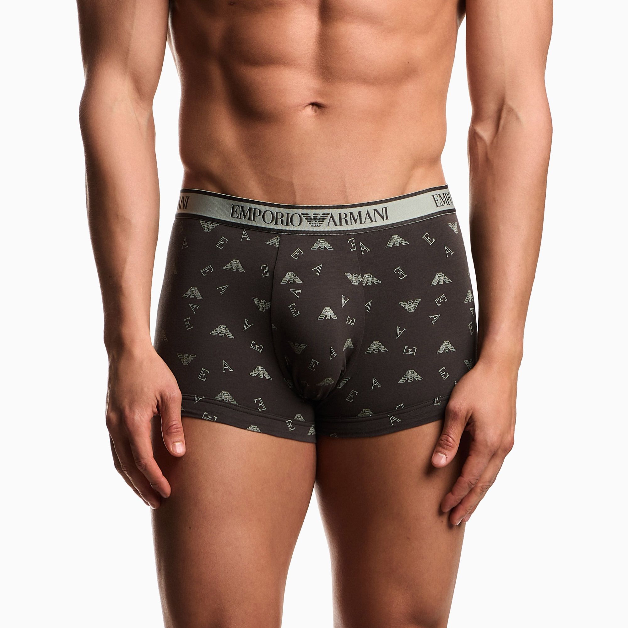 Trunk Caleçon Emporio Armani Core Logoband Hommes (3-pack)