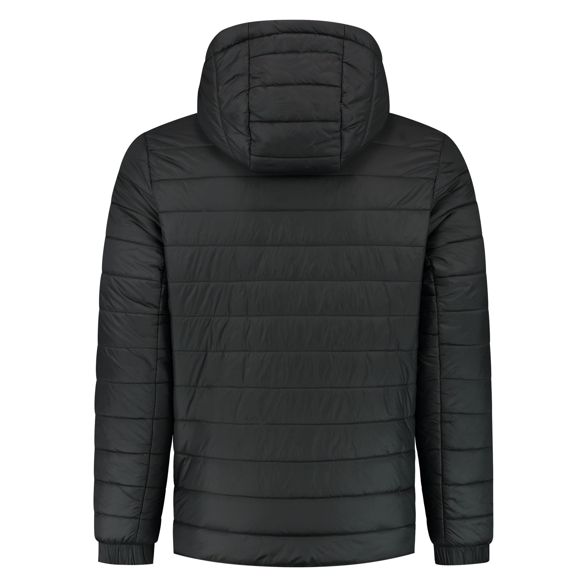 Hugo Bene2241 Jas Heren