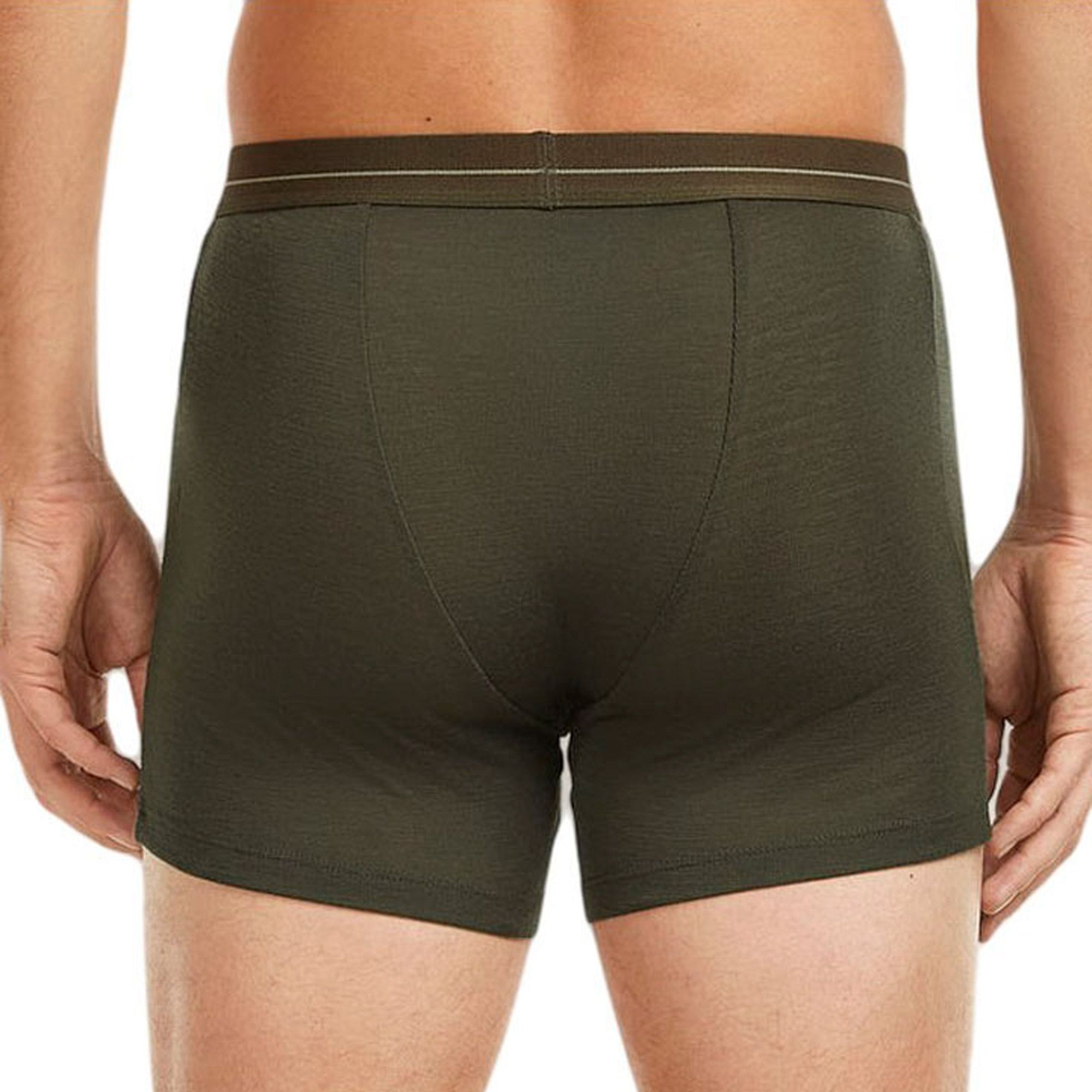 Boxershort Icebreaker 175 Everyday Hommes