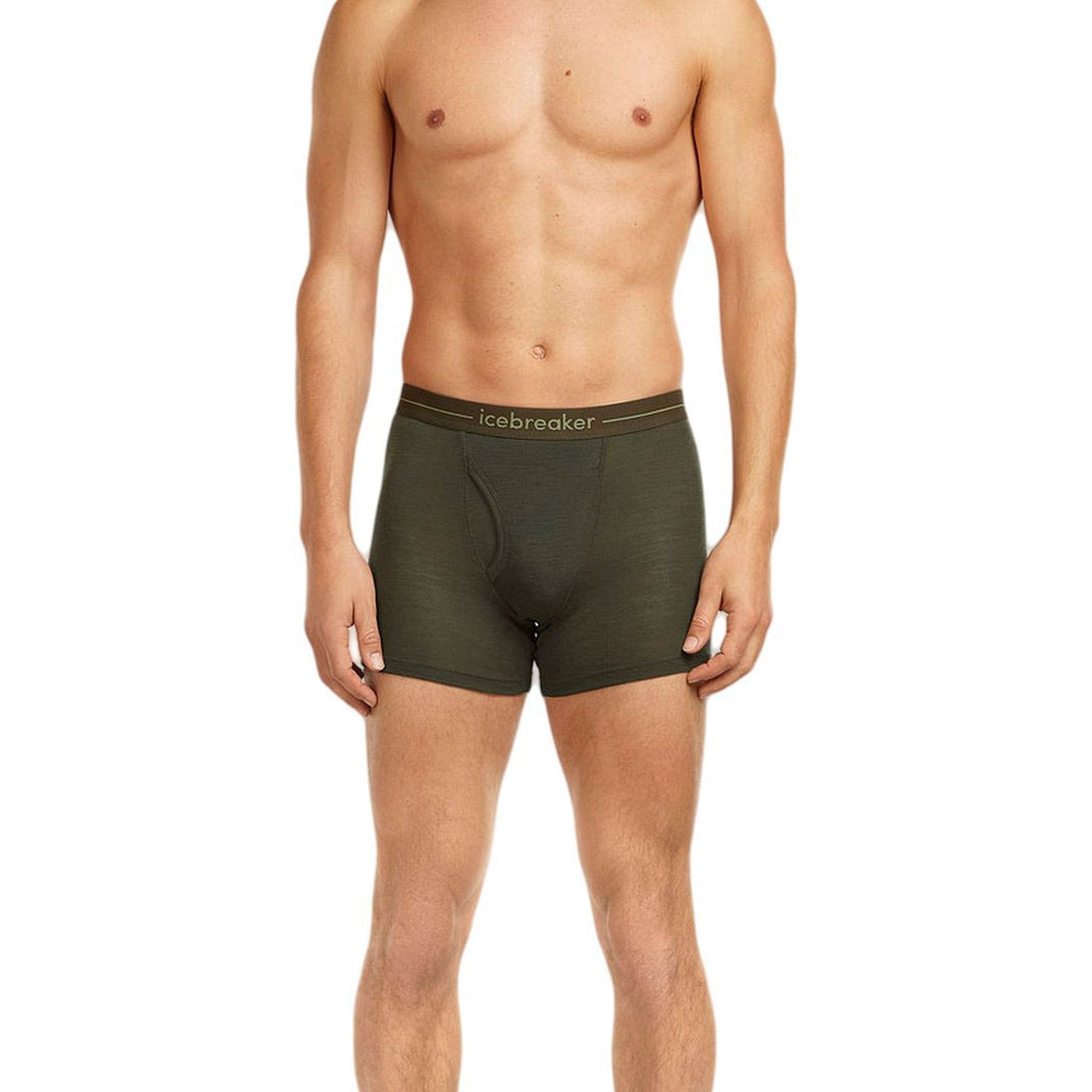 Boxershort Icebreaker 175 Everyday Hommes