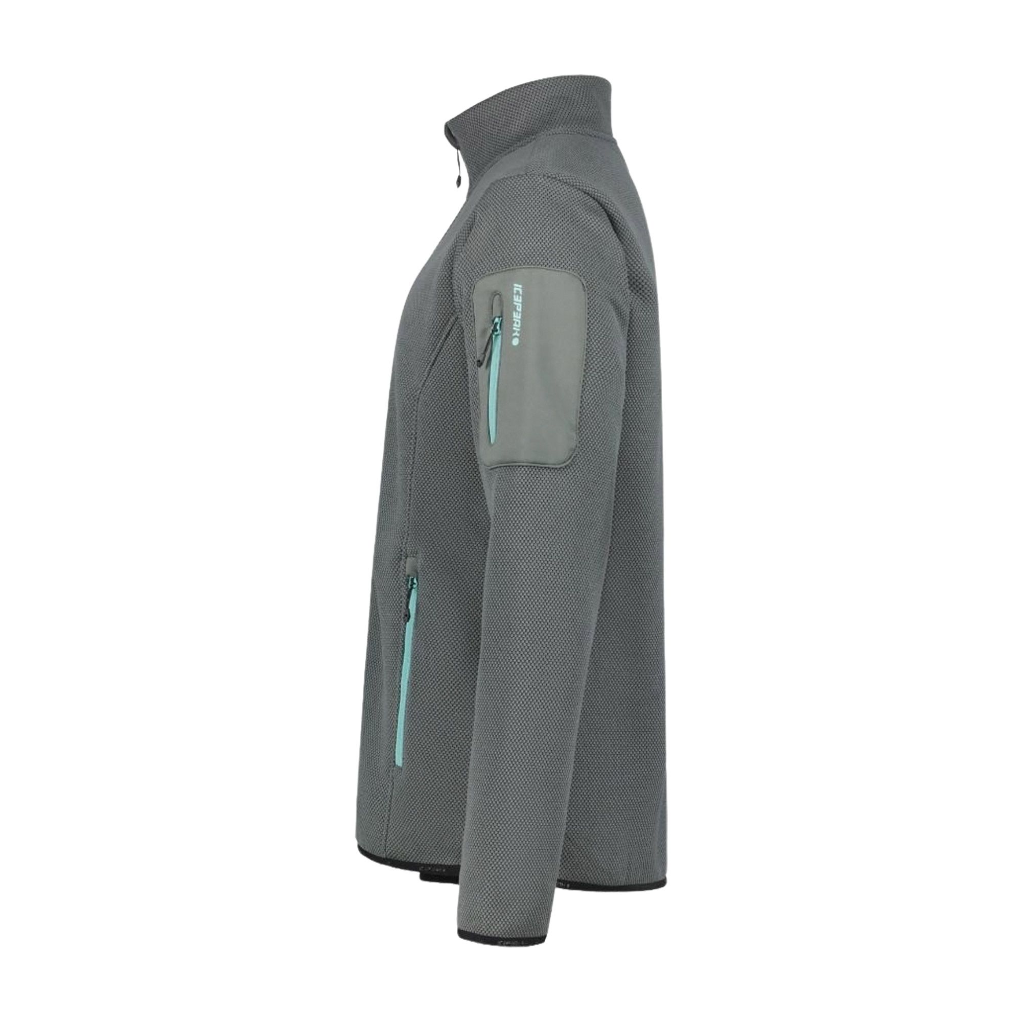 Veste polaire Icepeak Bredstedt Hommes