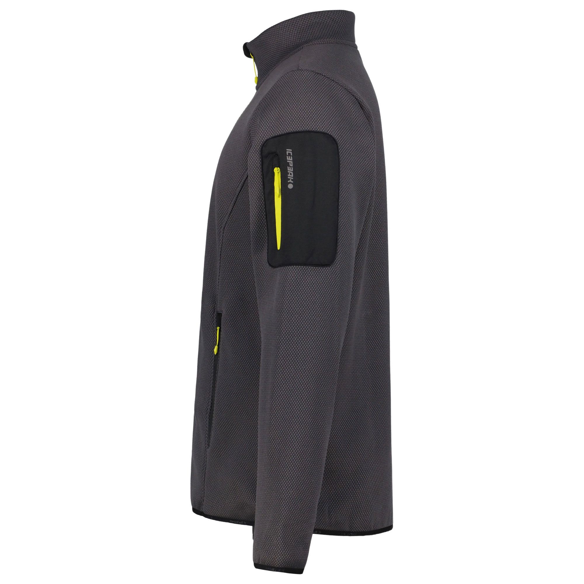 Veste polaire Icepeak Bredstedt Hommes