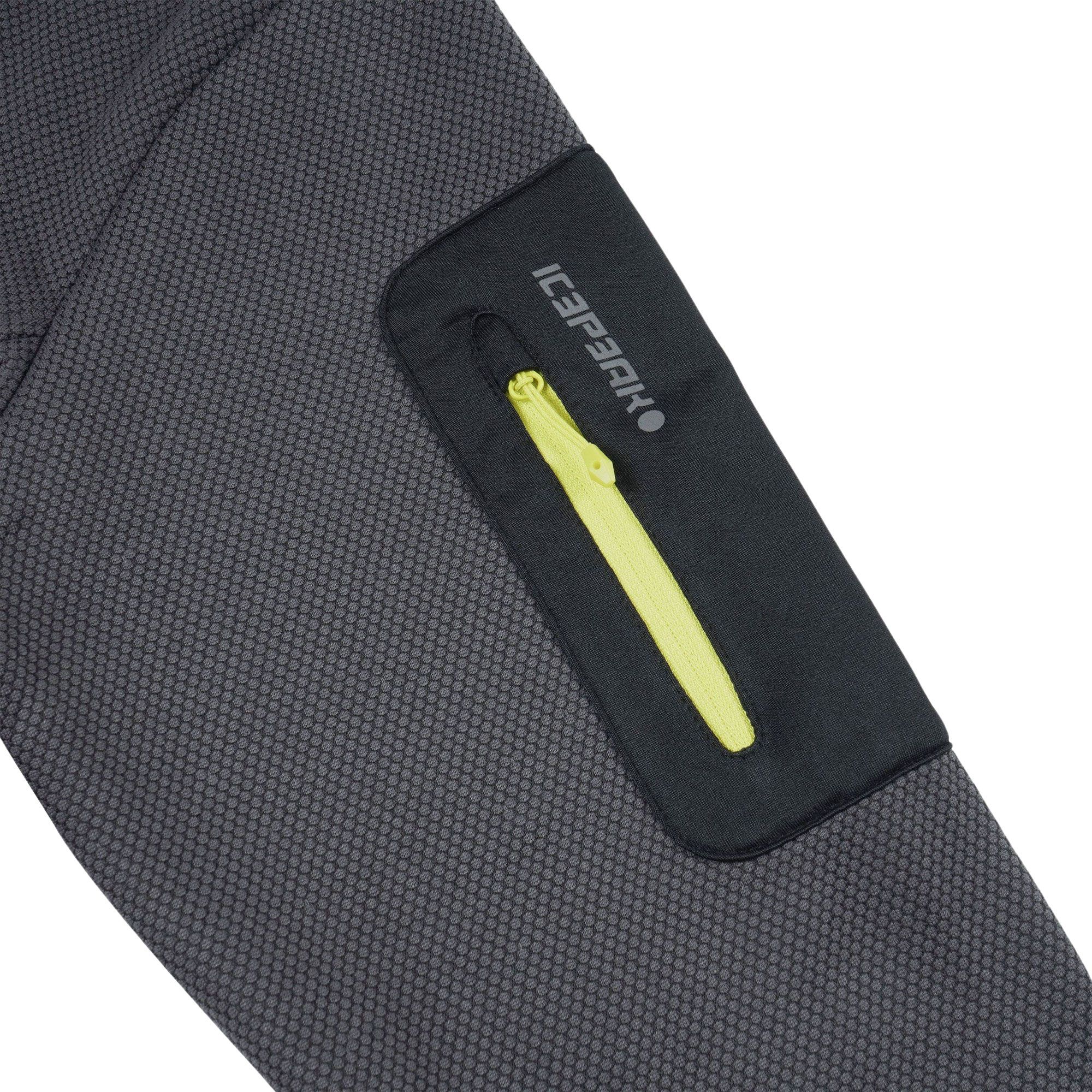 Veste polaire Icepeak Bredstedt Hommes