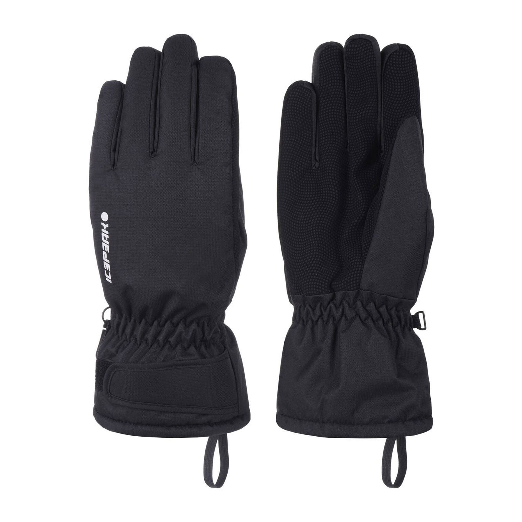 Icepeak Hayden Skihandschoenen Senior