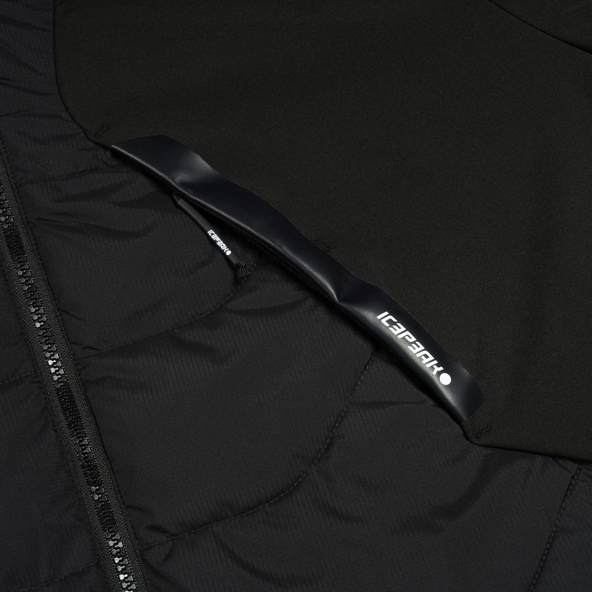 Manteau de ski Icepeak Ebern Hommes
