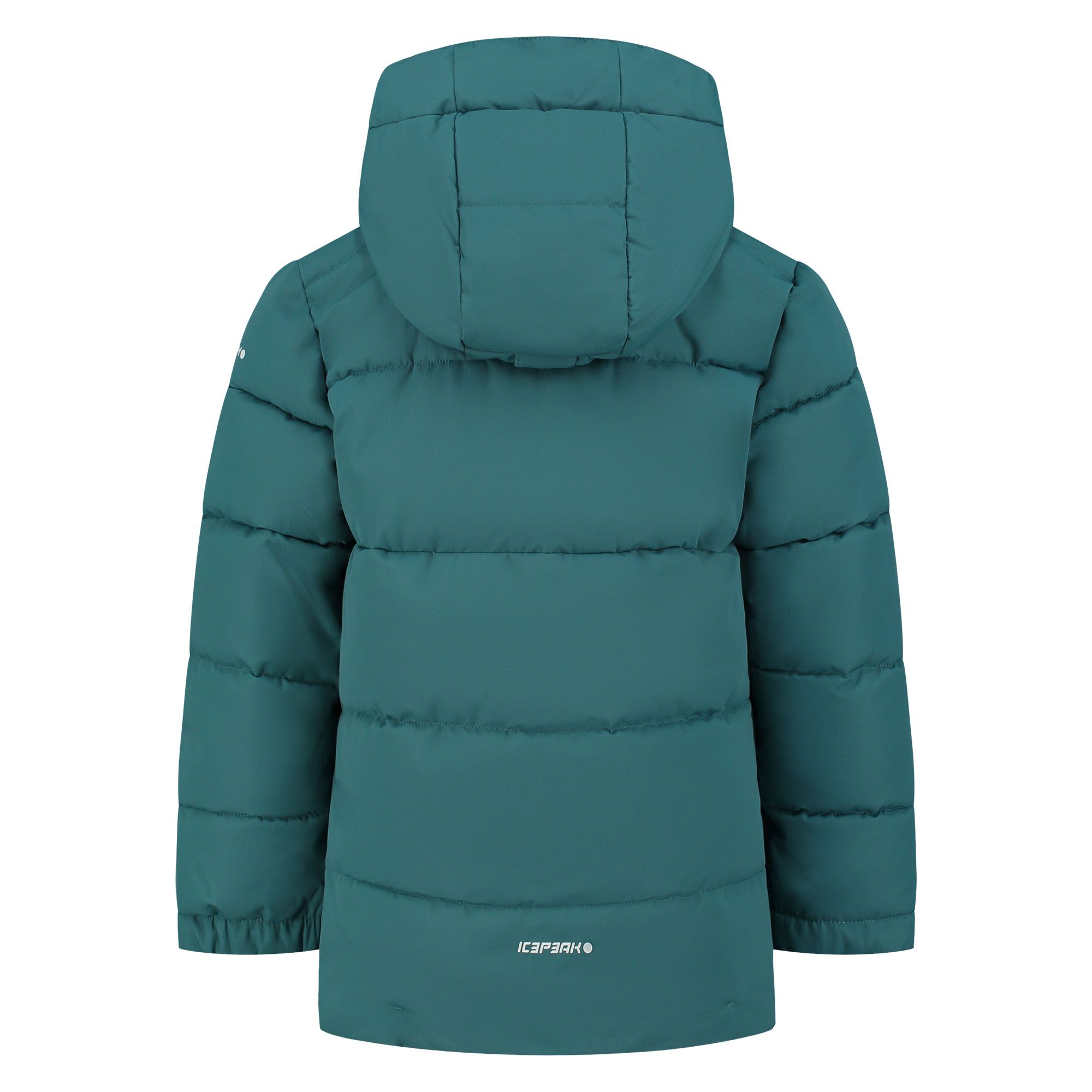 Icepeak Louin Skijas Junior