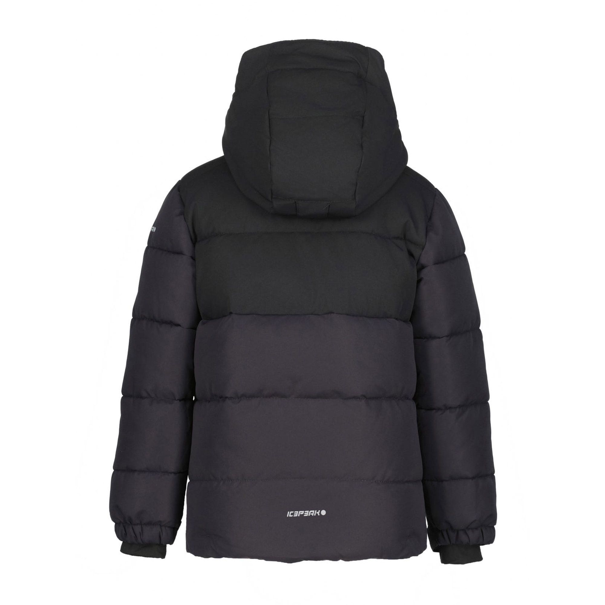 Icepeak Louin Skijas Junior