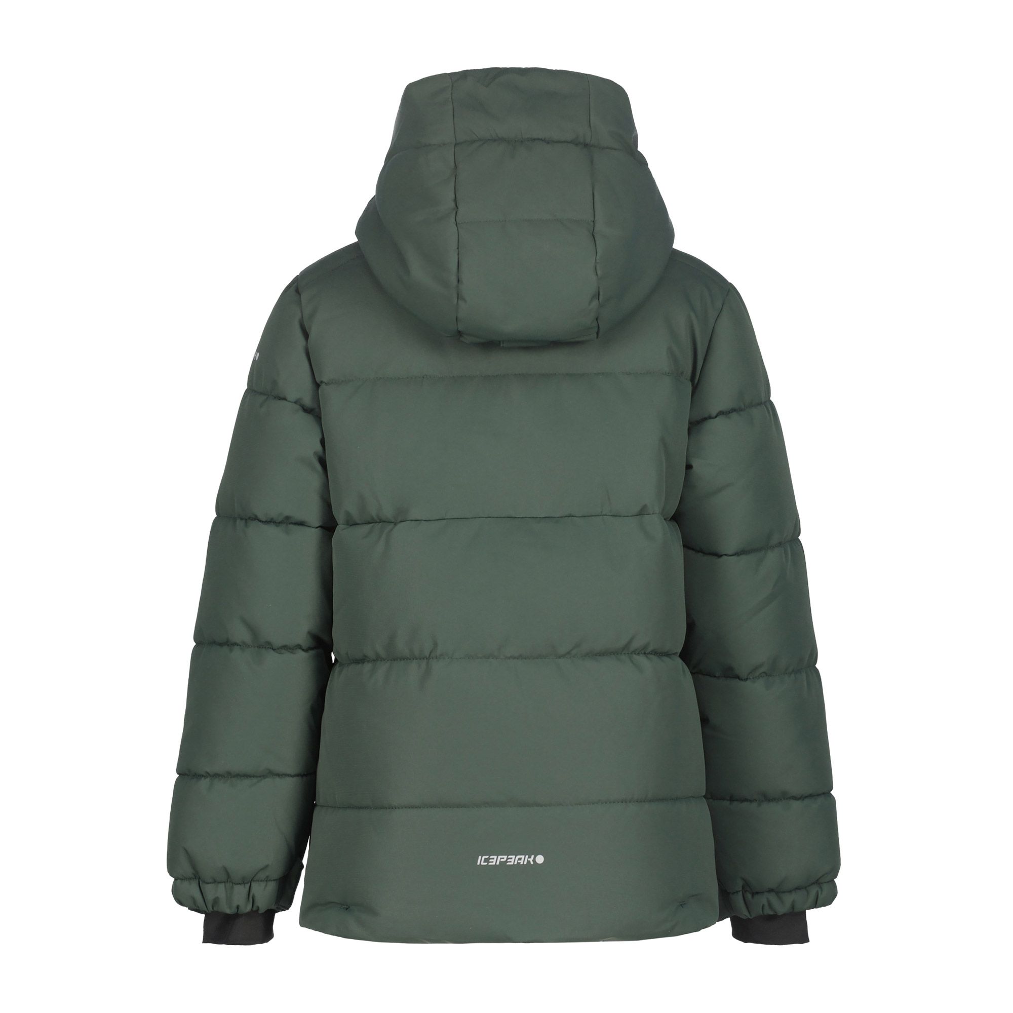 Icepeak Louin Skijas Junior