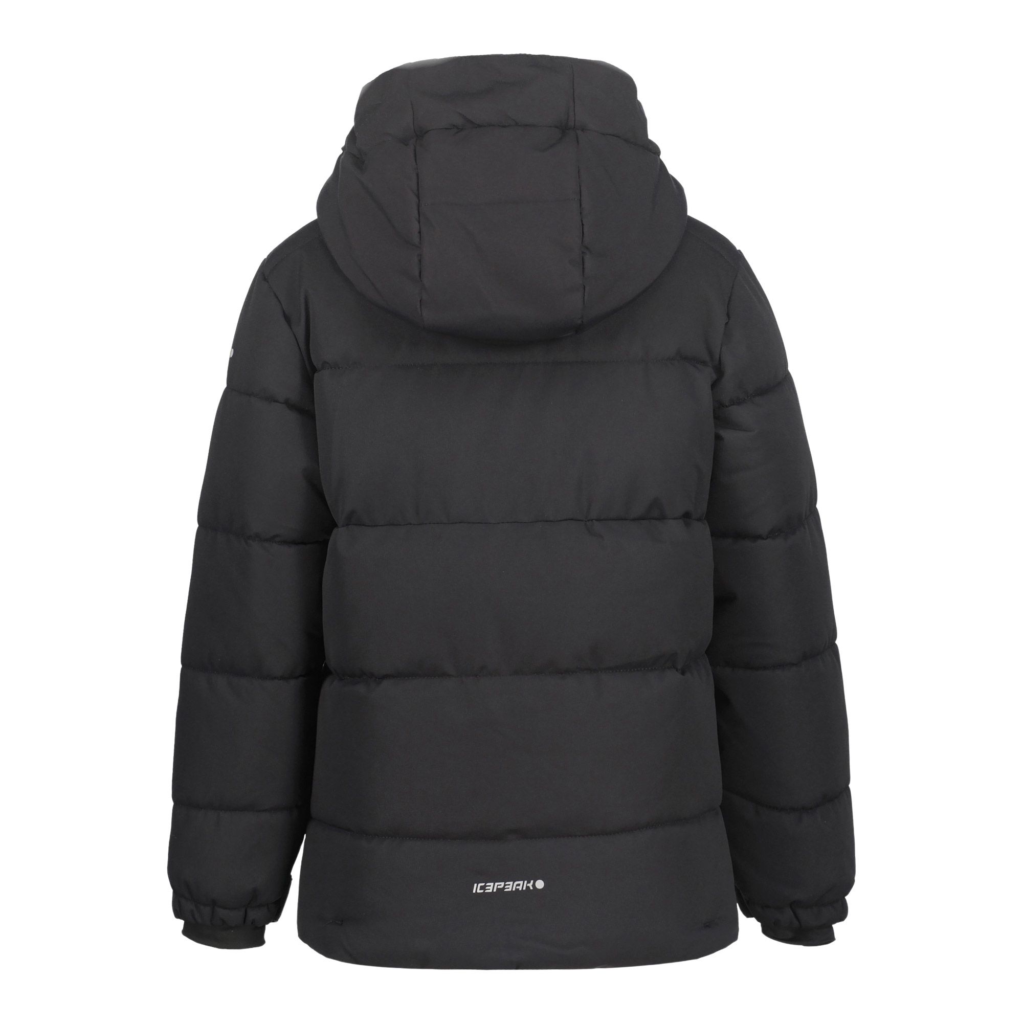 Icepeak Louin Skijas Junior