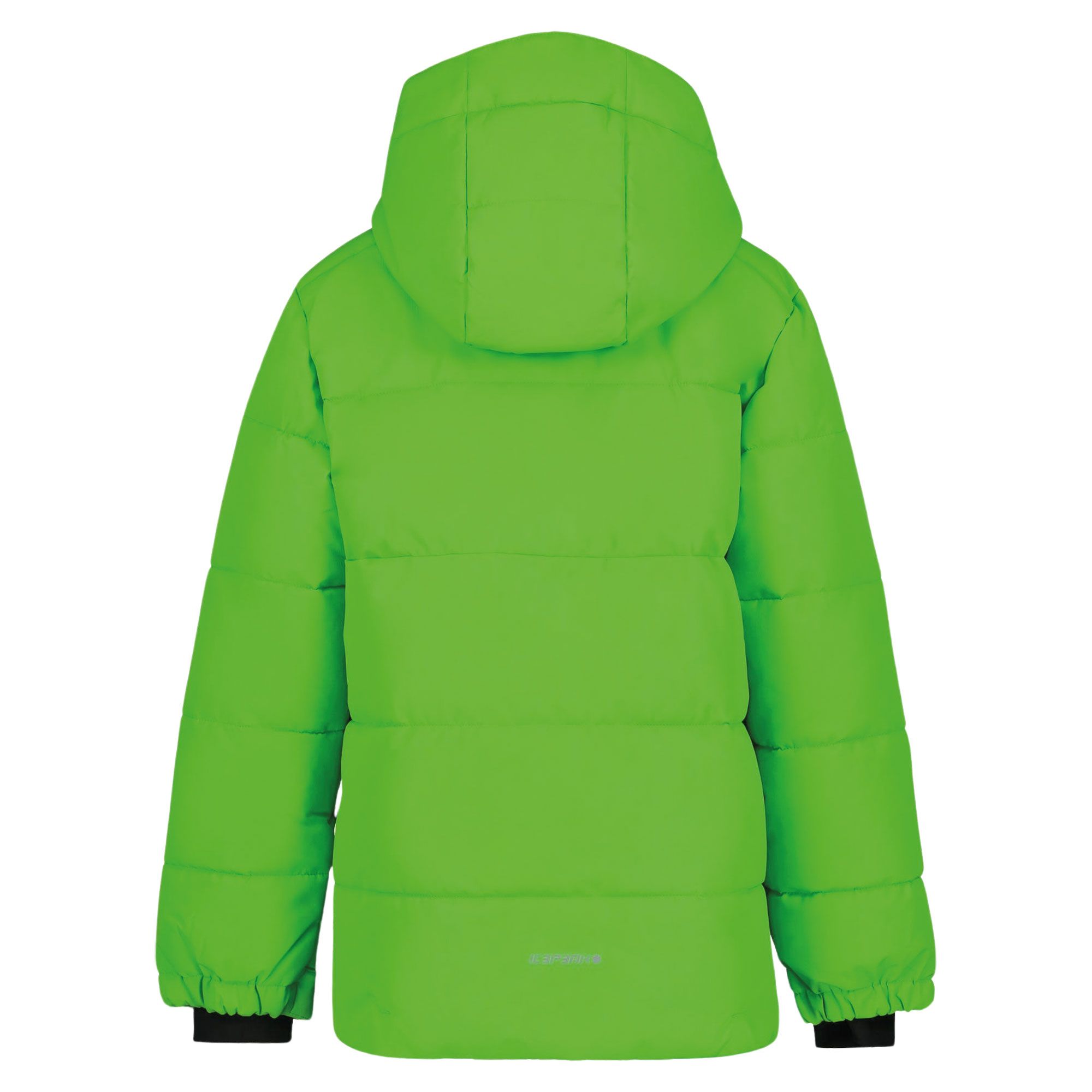 Icepeak Louin Skijas Junior