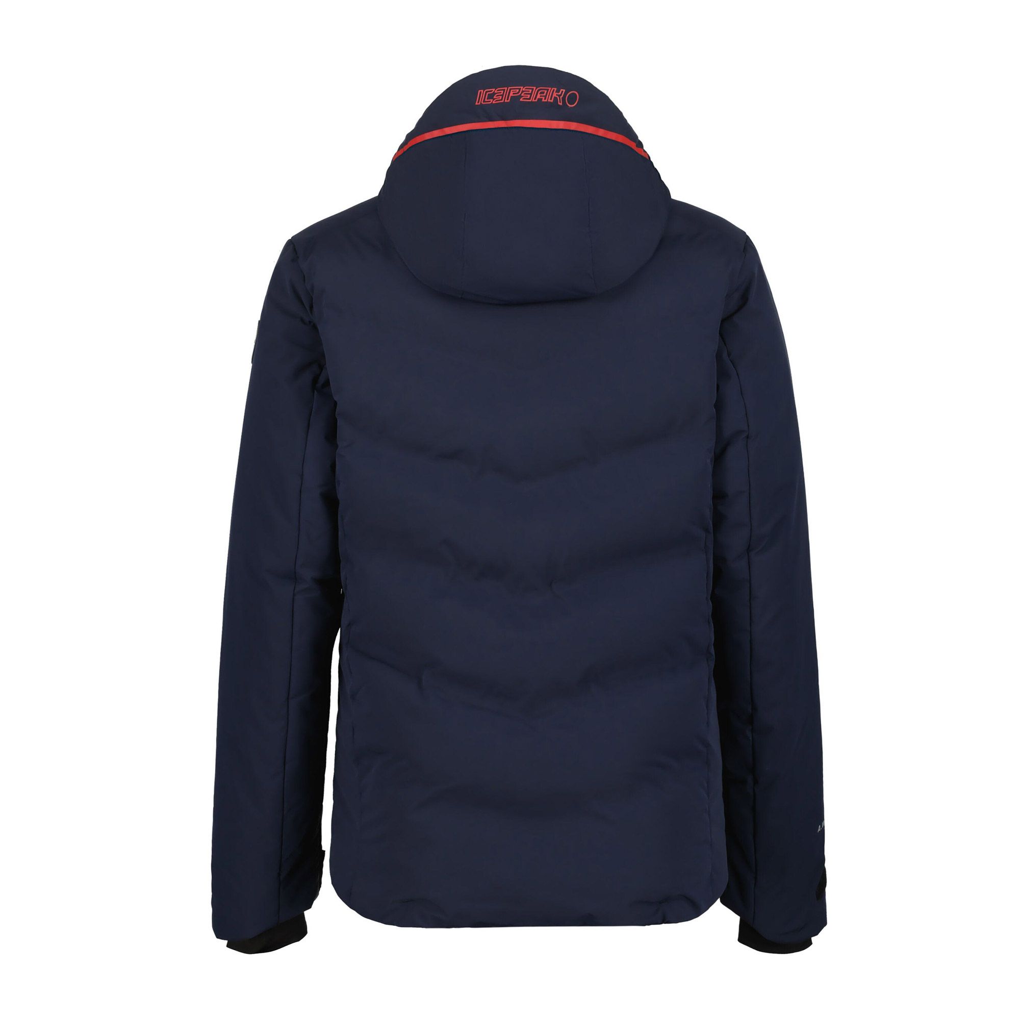 Icepeak Foley Skijas Heren